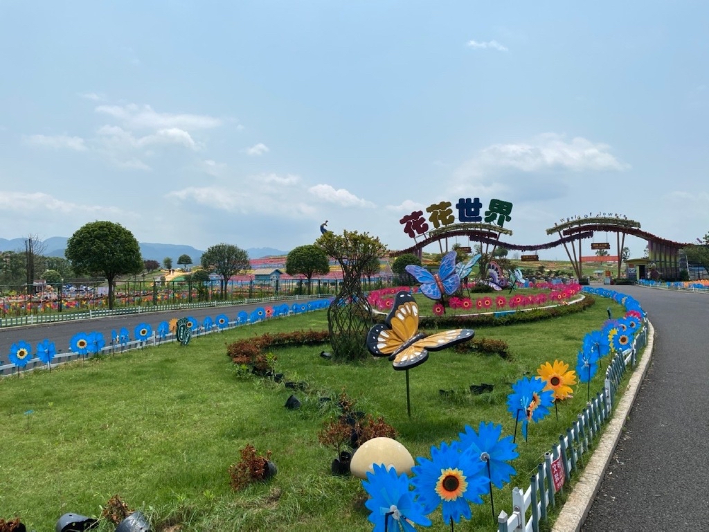 花花世界旅行图片 2