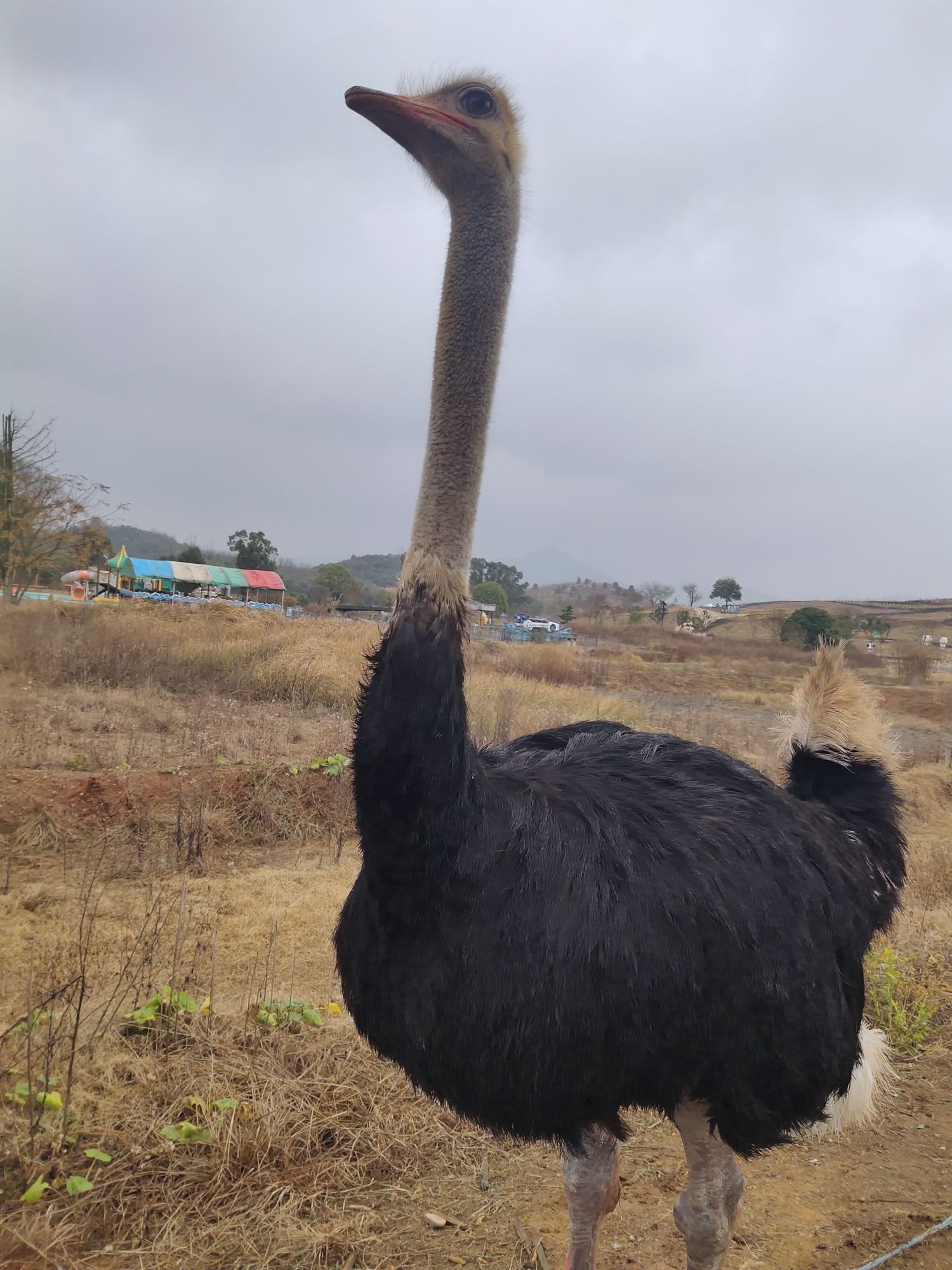 花花世界旅行图片 3