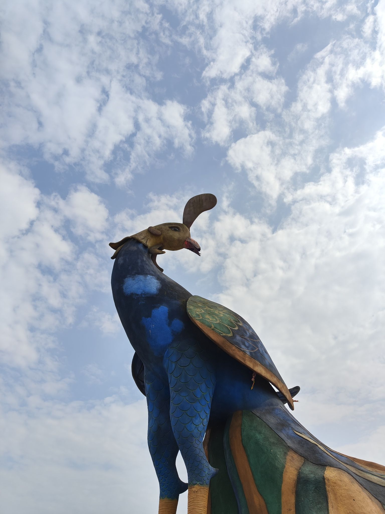 花花世界旅行图片 3