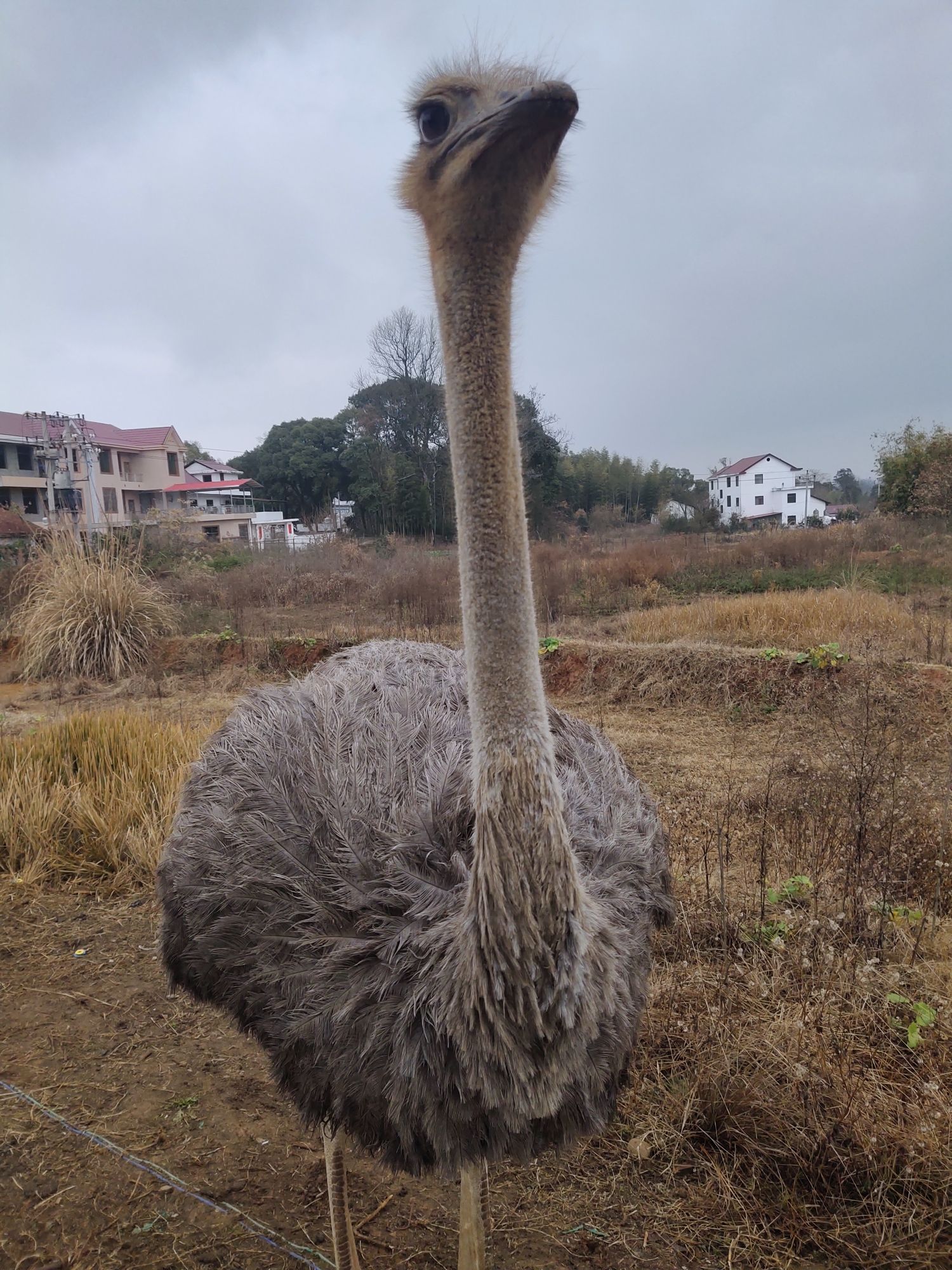 花花世界旅行图片 2
