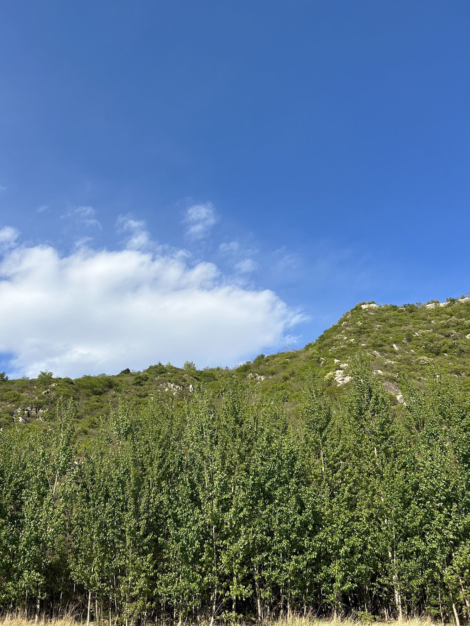 冷口东河冰瀑旅行图片 1