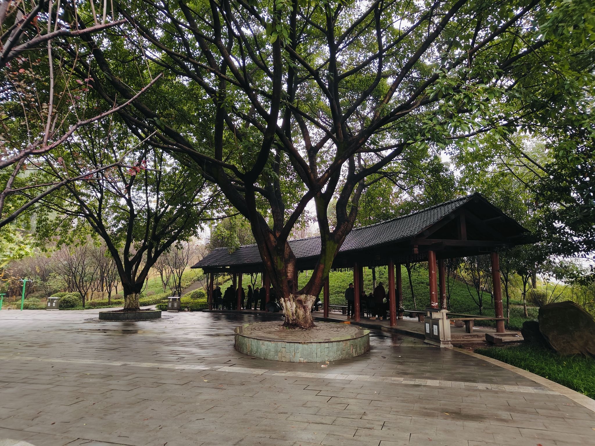 六店子社区公园旅行图片 1