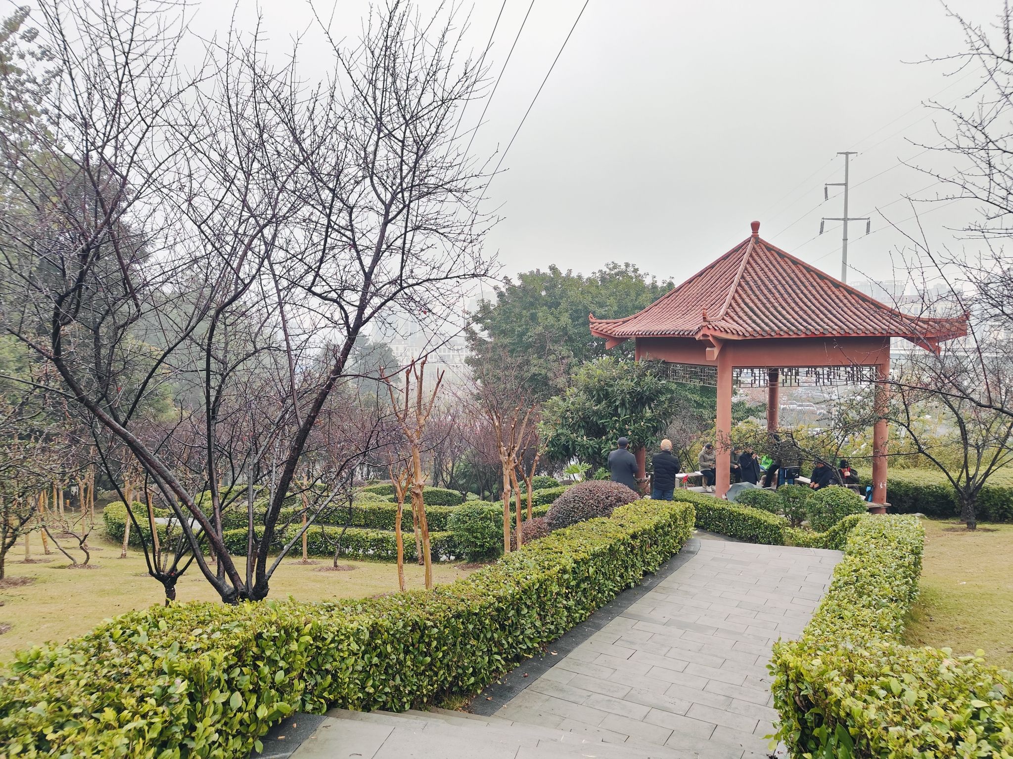 六店子社区公园旅行图片 3