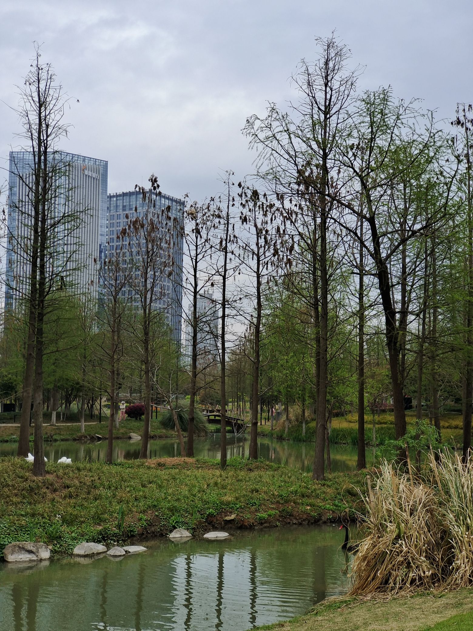 和合公园旅行图片 2