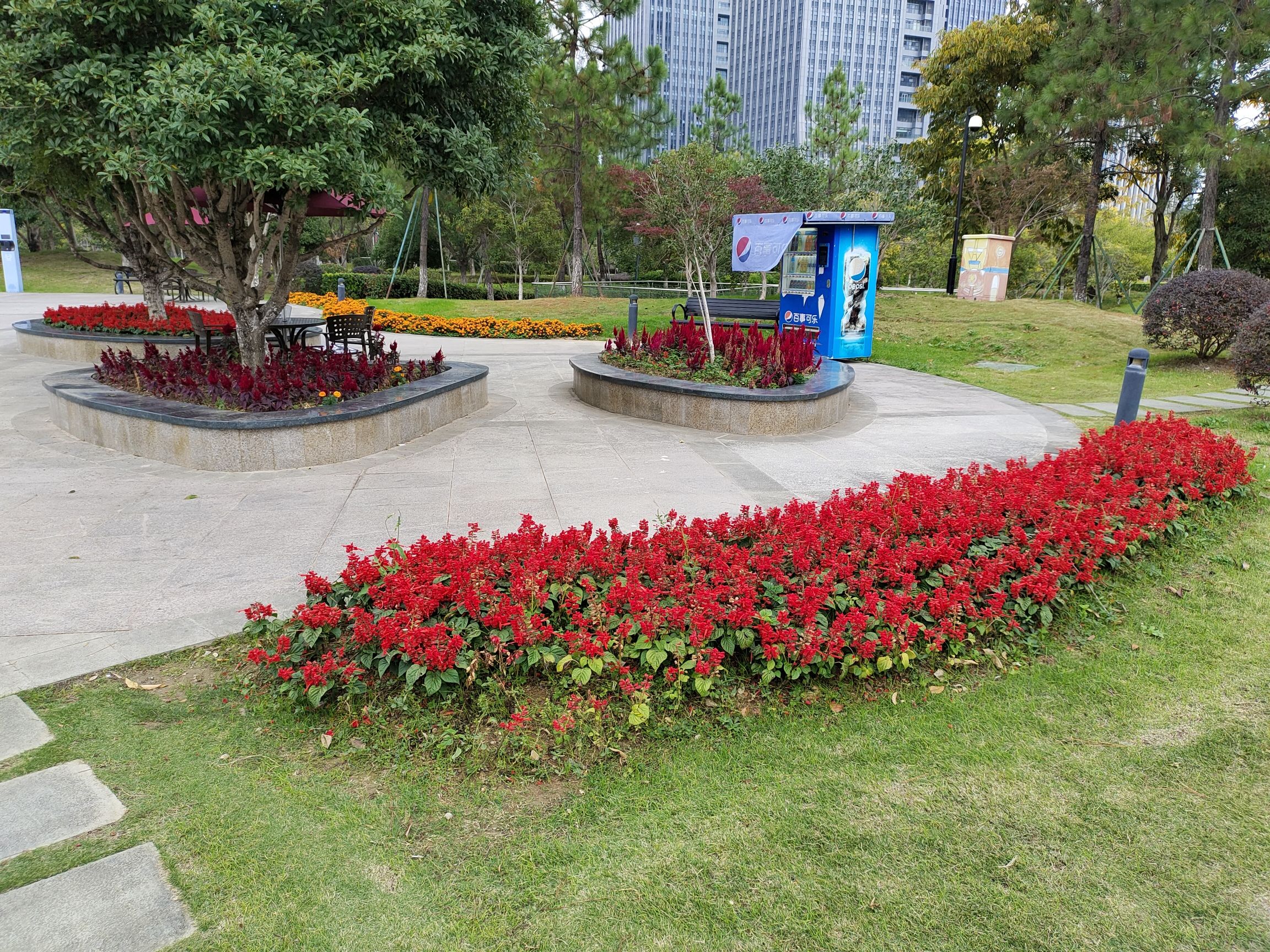 和合公园旅行图片 2