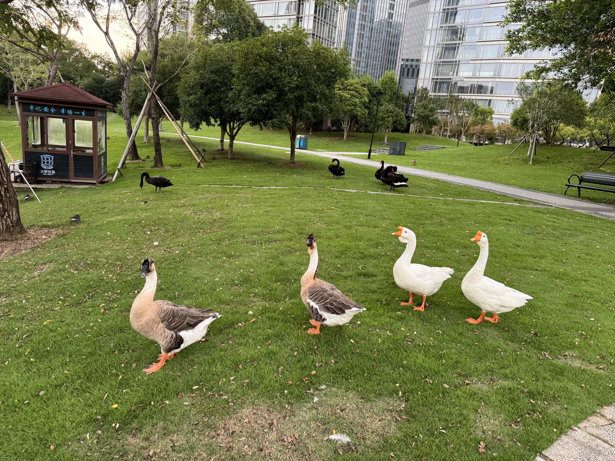 和合公园旅行图片 3