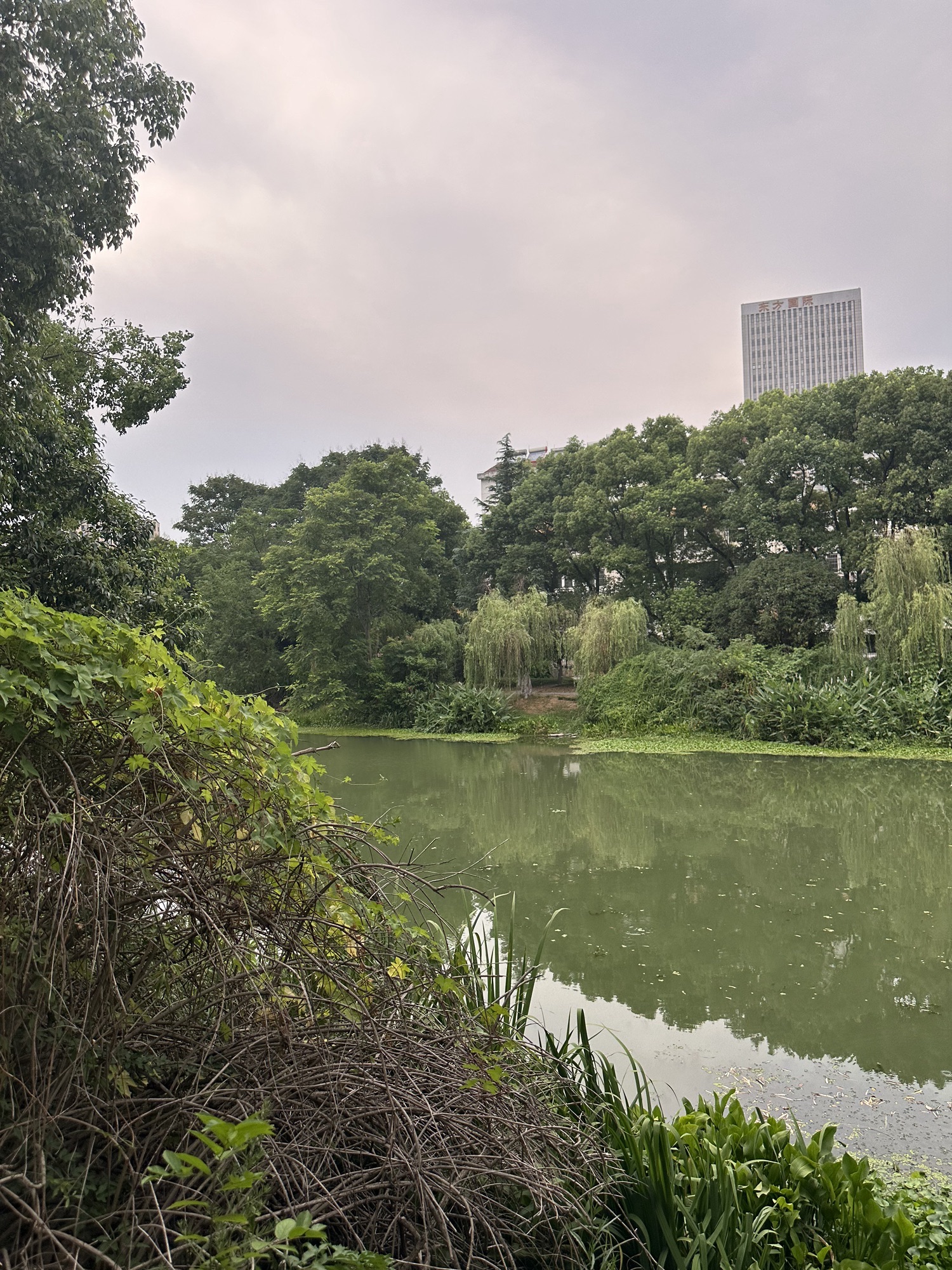 陆家河公园