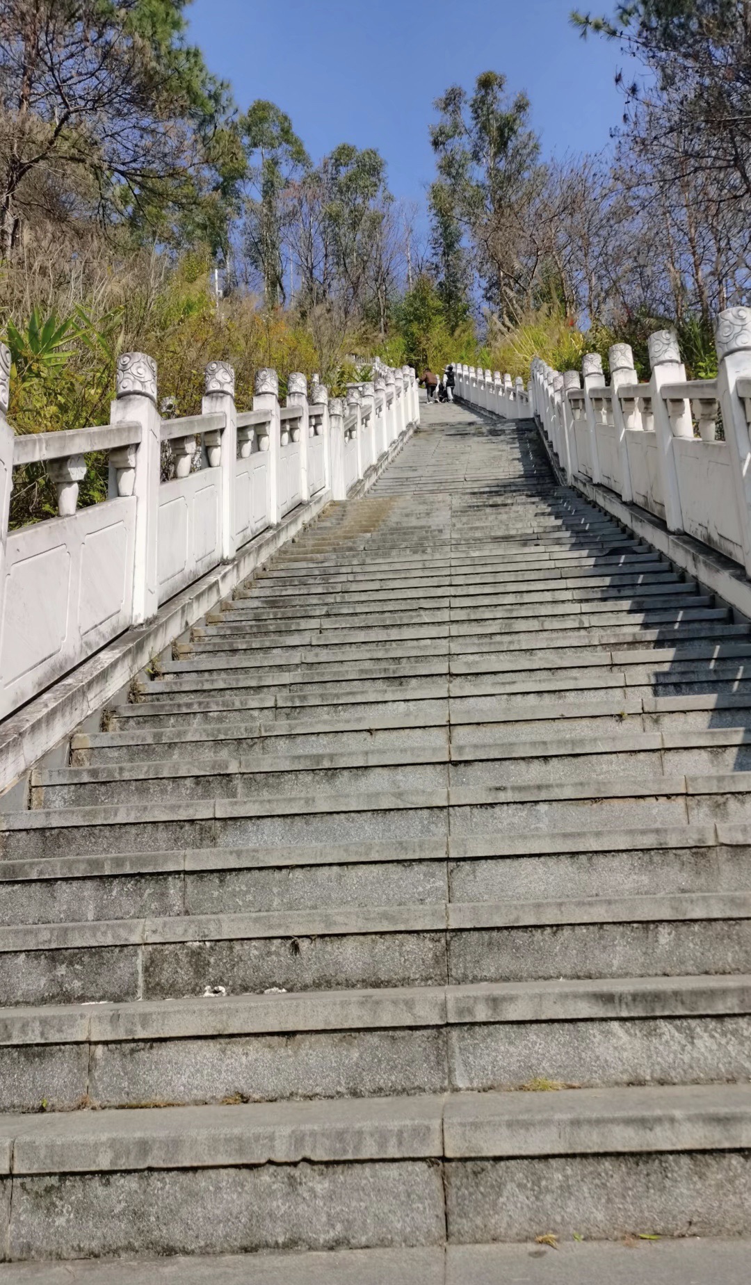 东山体育健身公园旅行图片 3