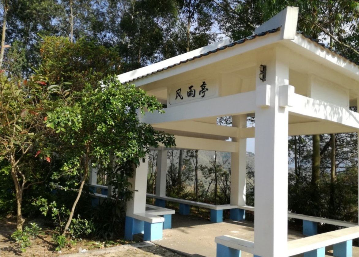 东山体育健身公园旅行图片 1