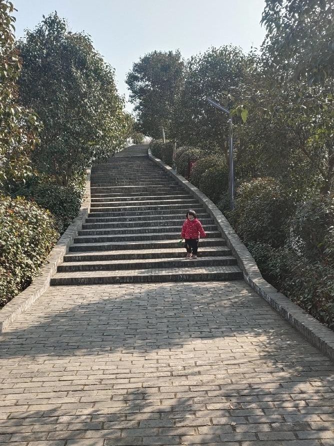 上清湖公园旅行图片 2