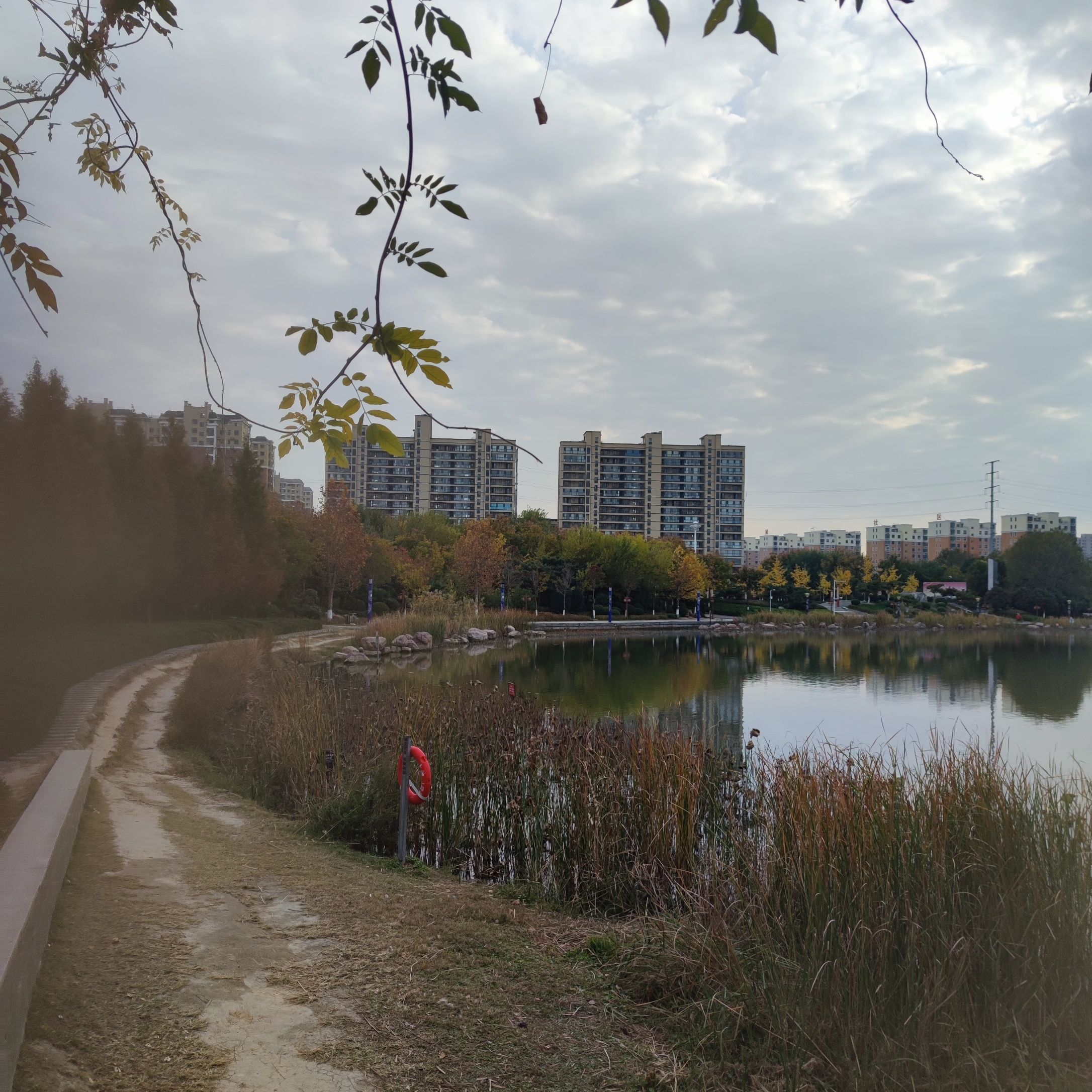 上清湖公园旅行图片 3