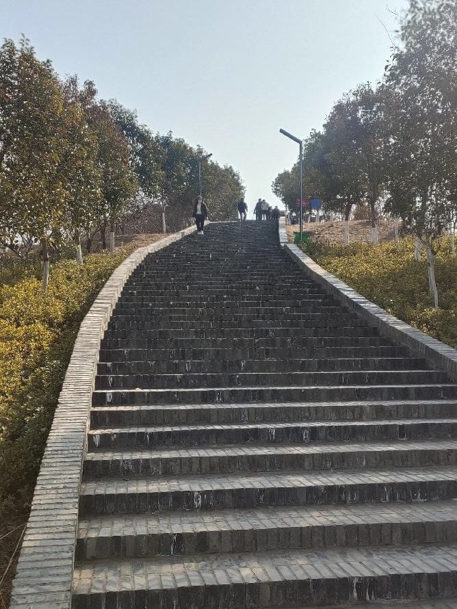 上清湖公园旅行图片 1