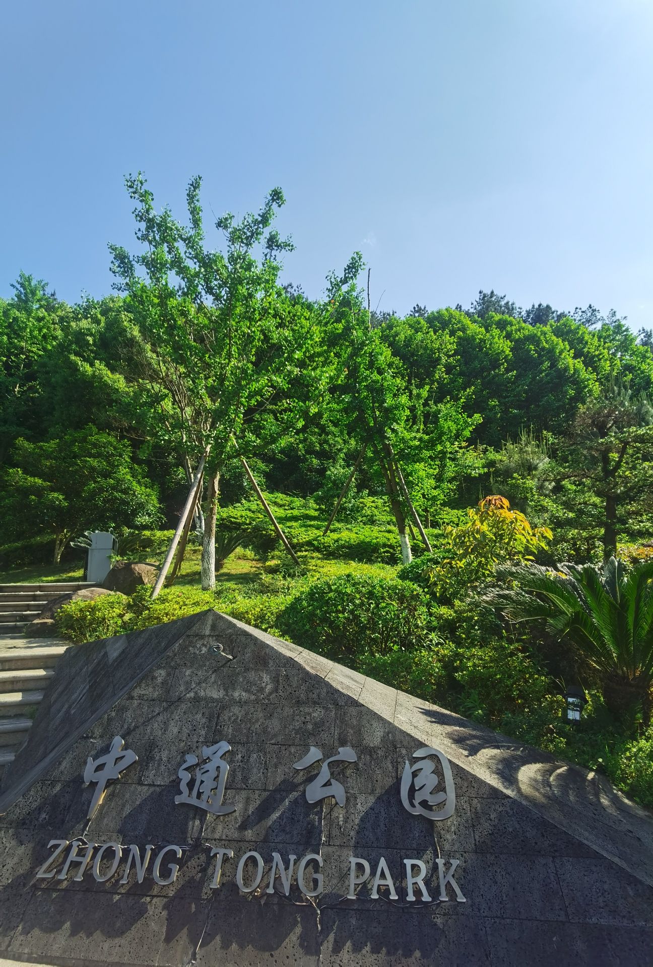 中通公园