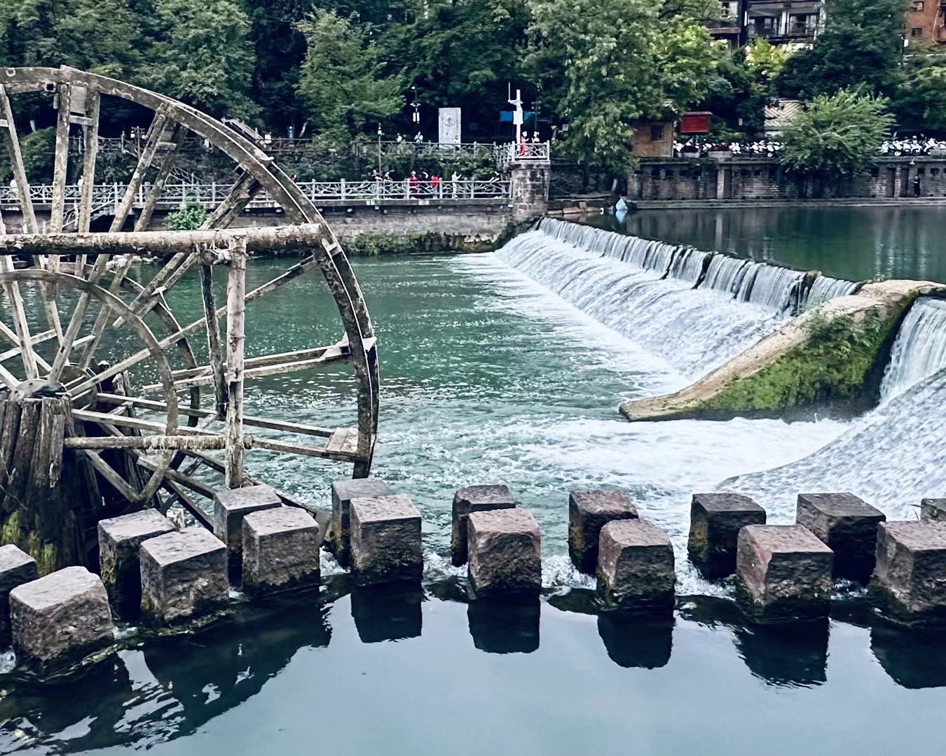 依山农场旅行图片 1
