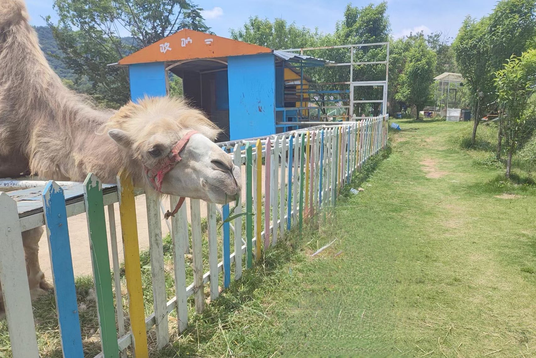 依山农场旅行图片 3
