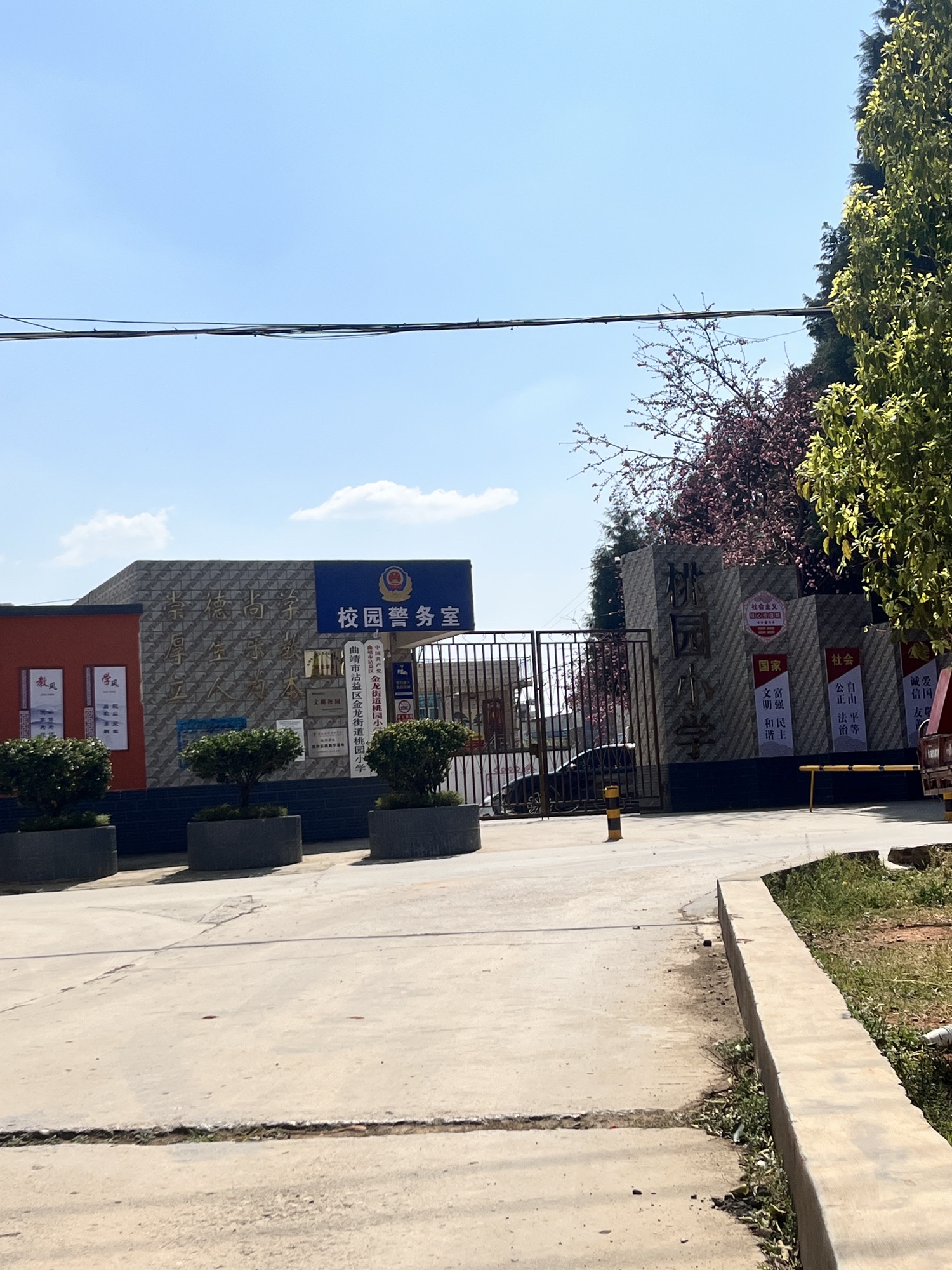 曲靖市沾益区金龙街道桃园小学