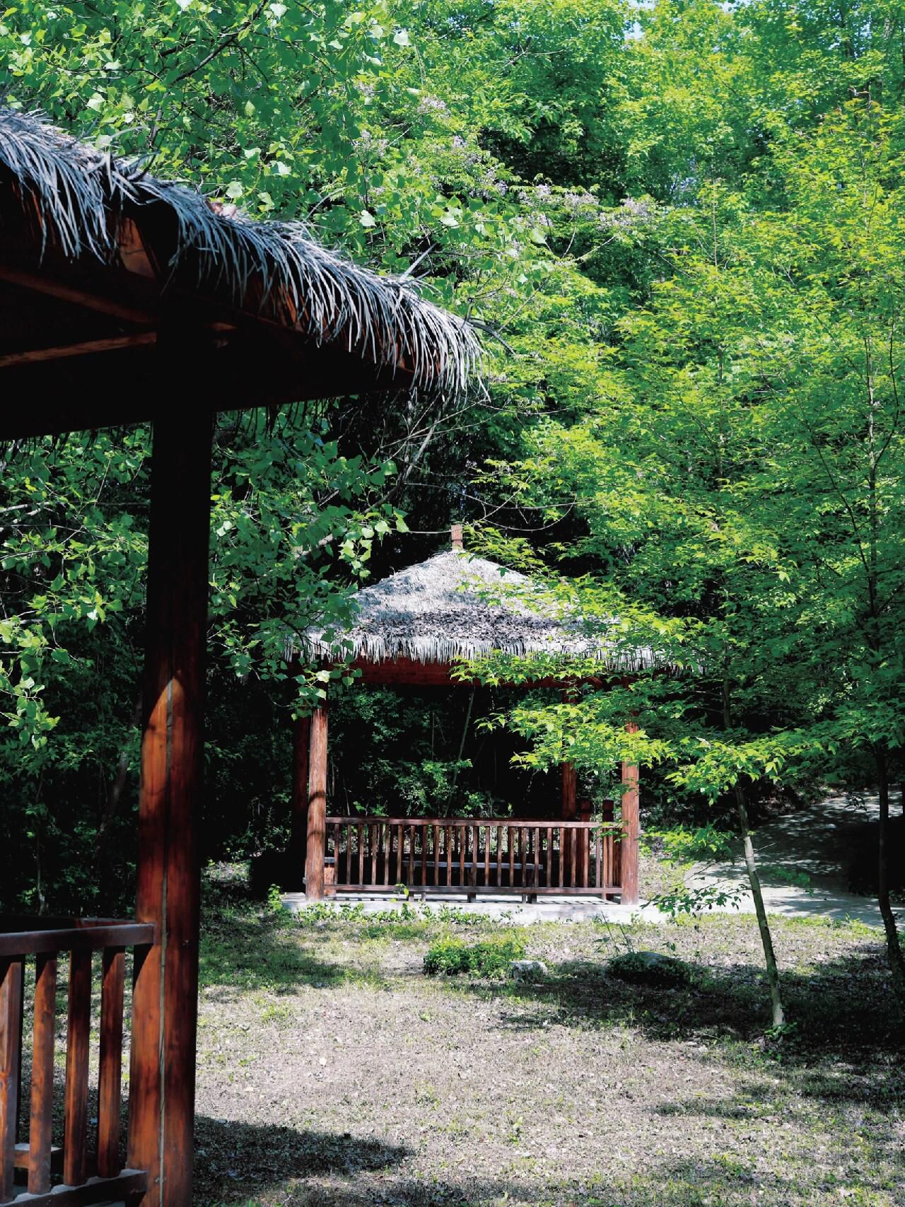 薛家岗考古遗址公园旅行图片 2