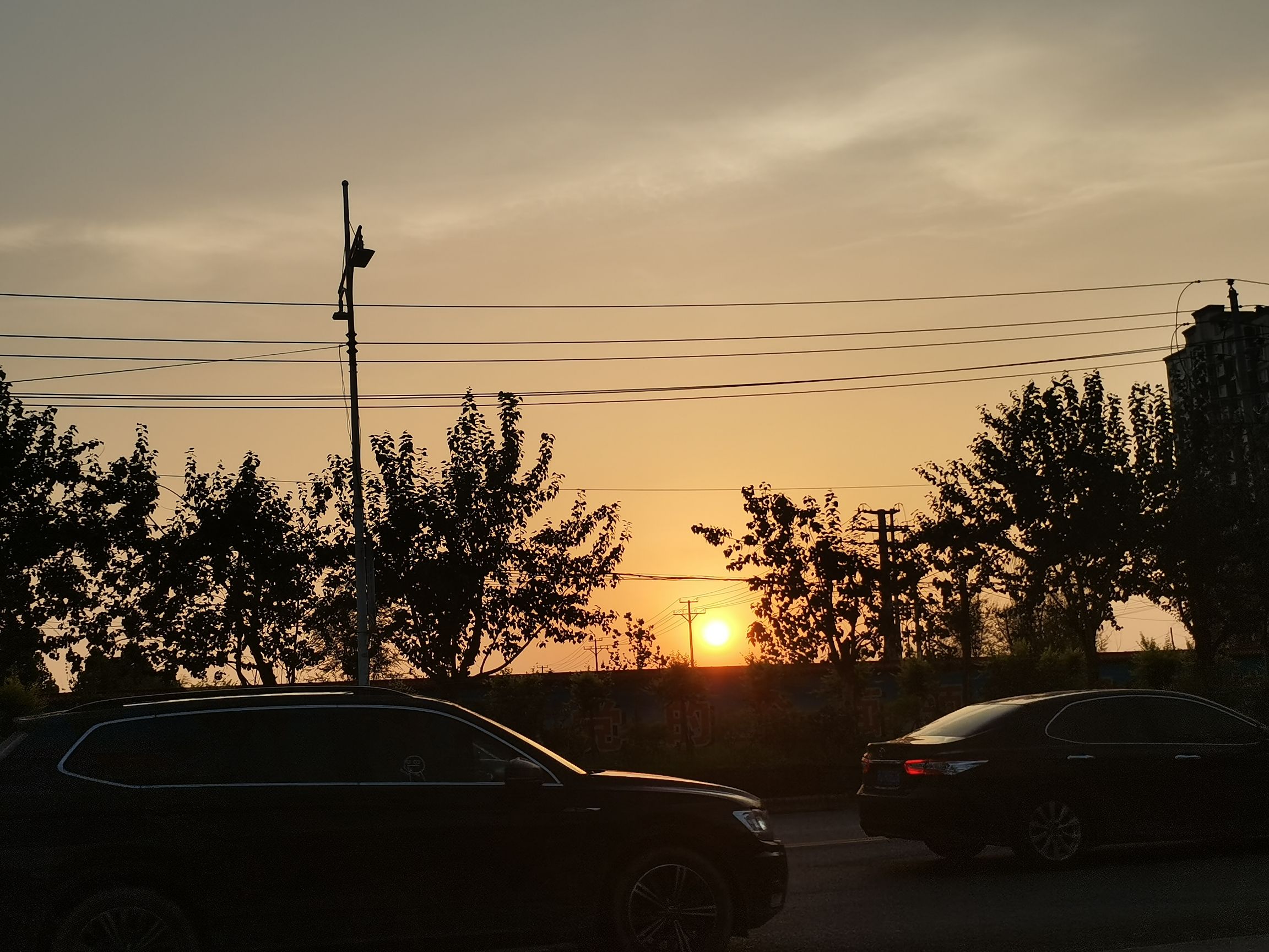 千童文化园旅行图片 1