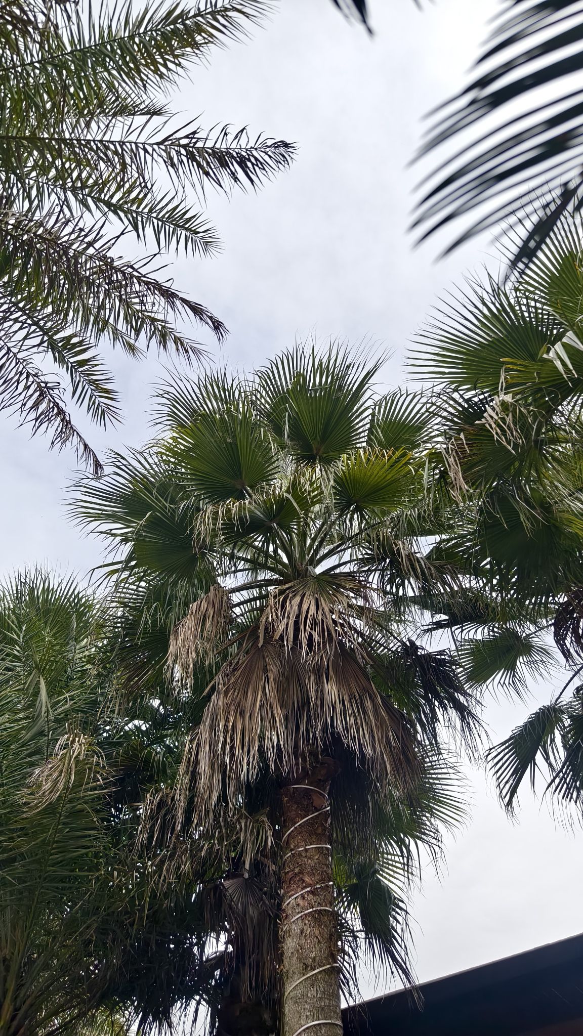 落别温泉小镇旅行图片 2