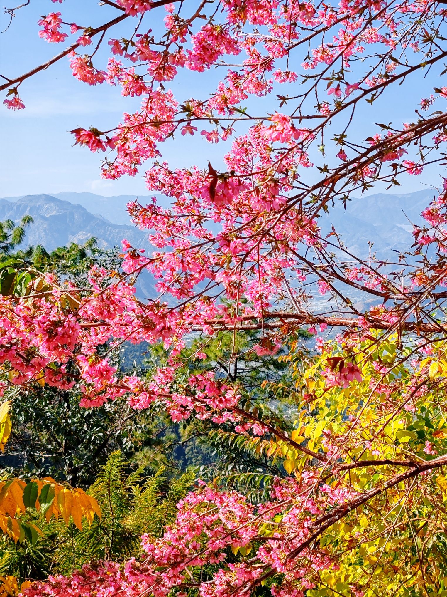 颛顼龙洞旅游景区旅行图片 2