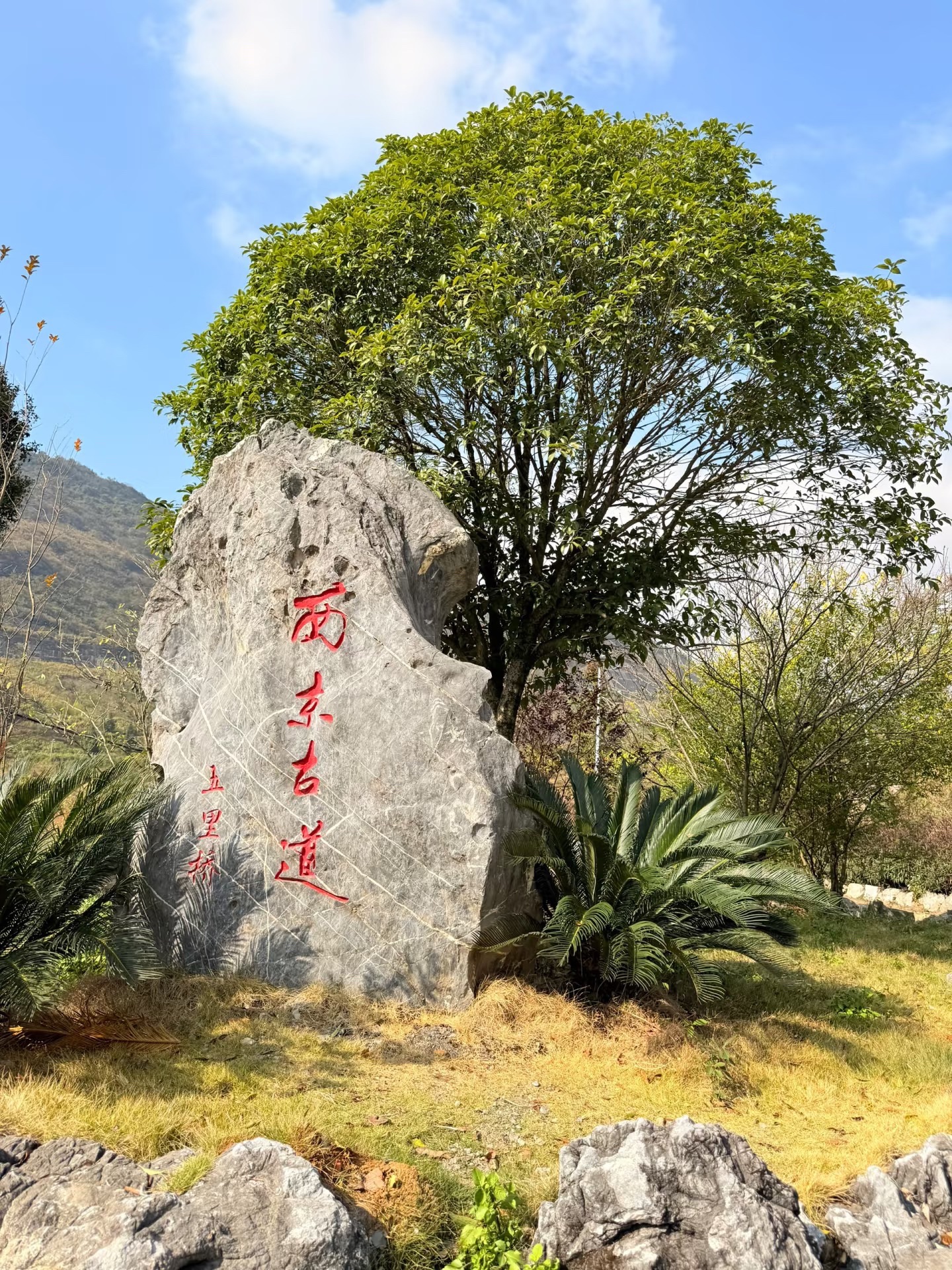 西京古道旅行图片 2