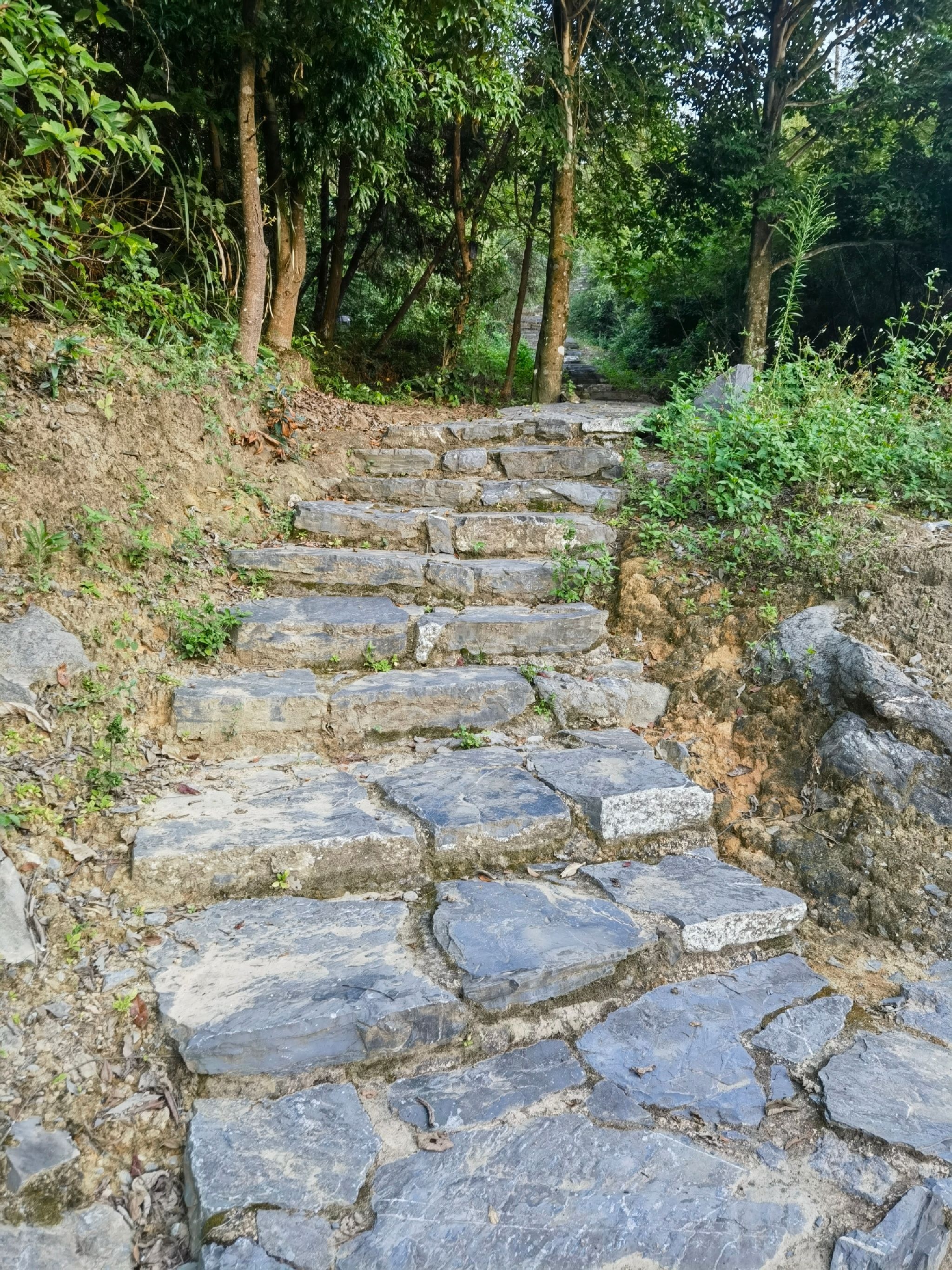 西京古道旅行图片 1