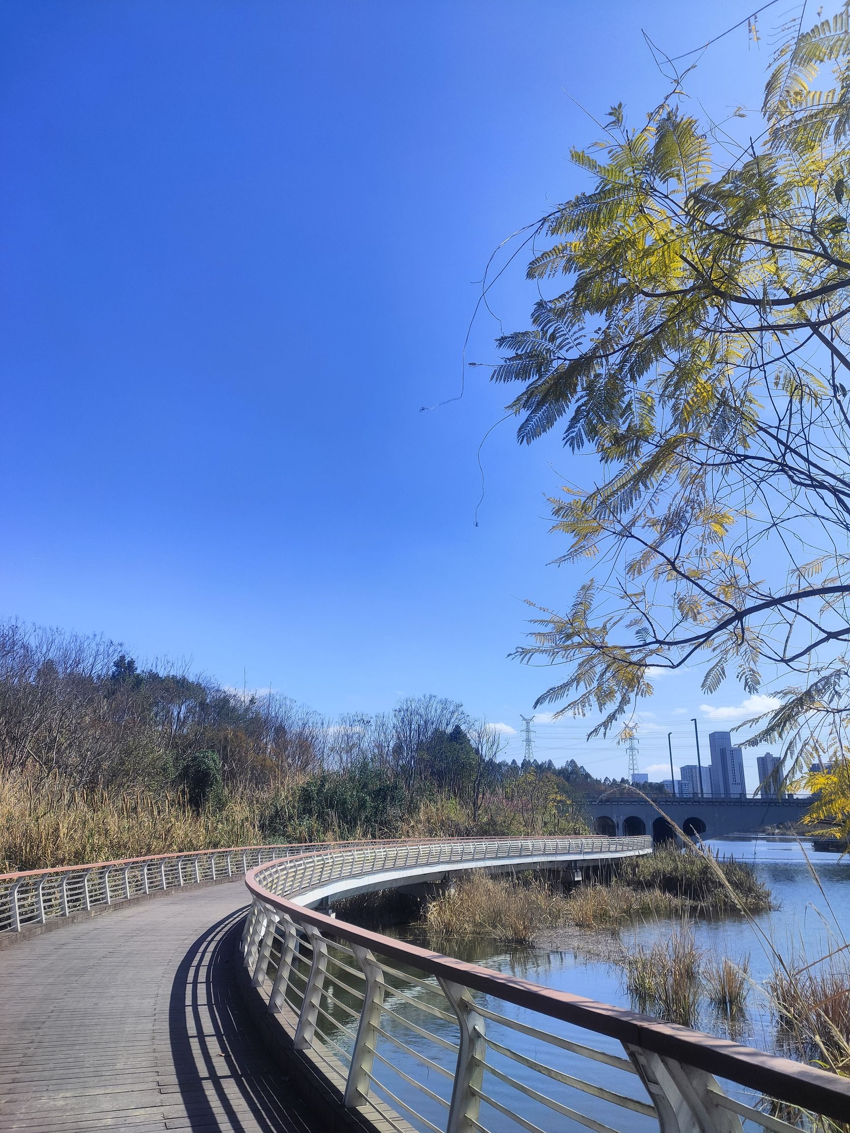 鹿溪河生态区旅行图片 3