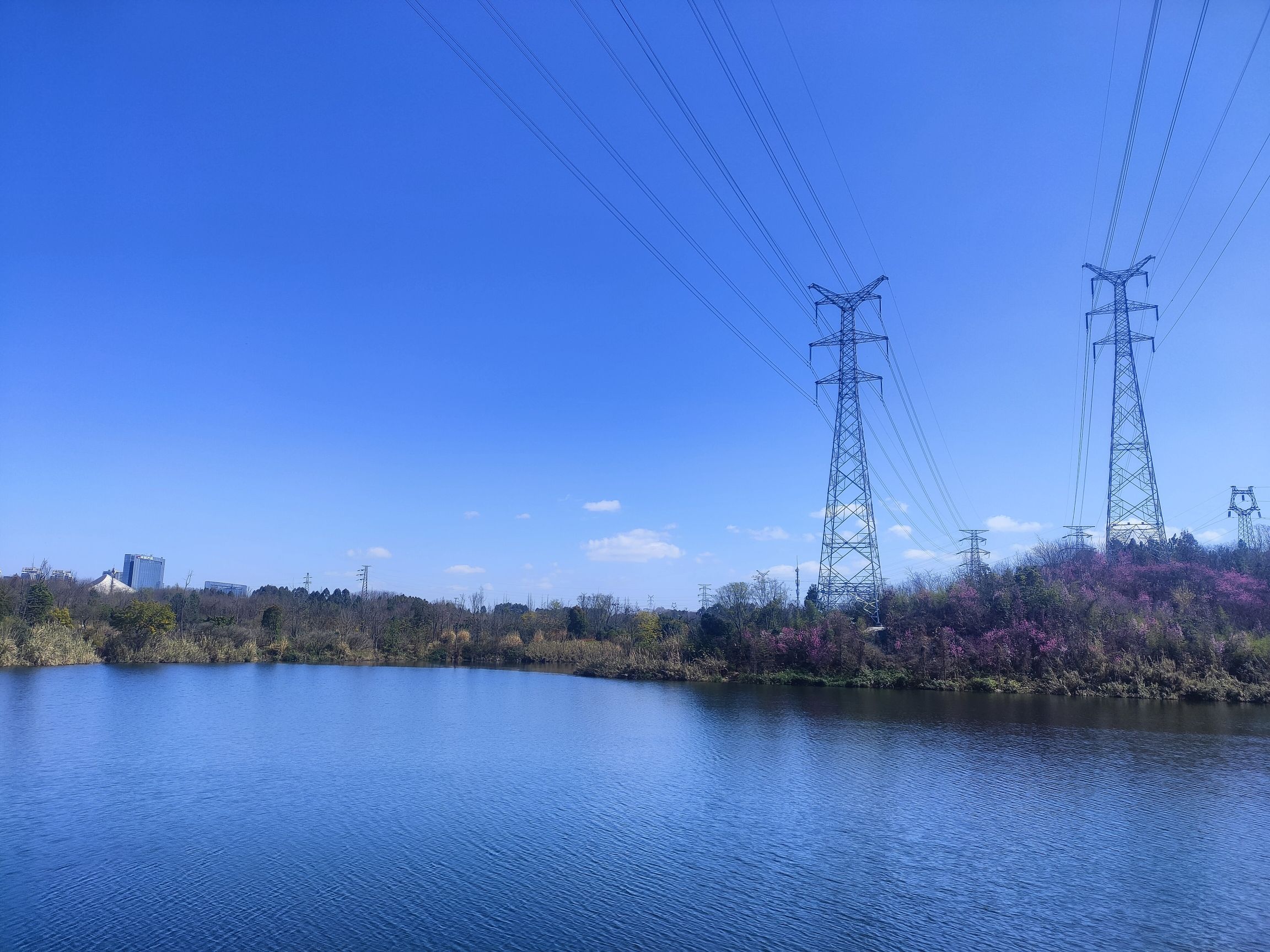 鹿溪河生态区旅行图片 1