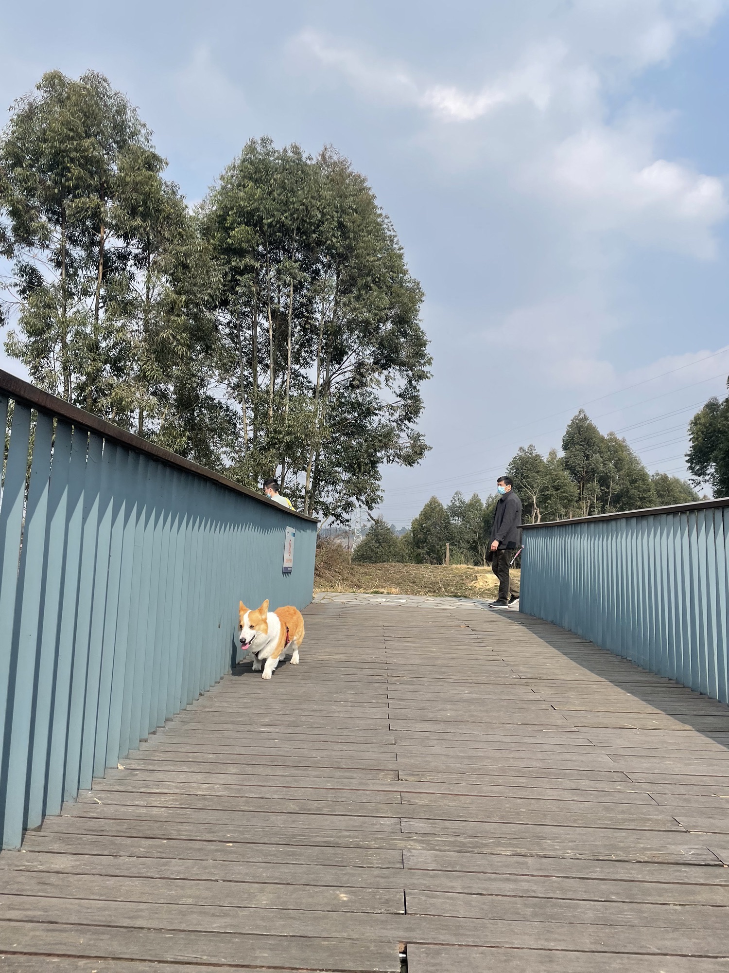 鹿溪河生态区旅行图片 2