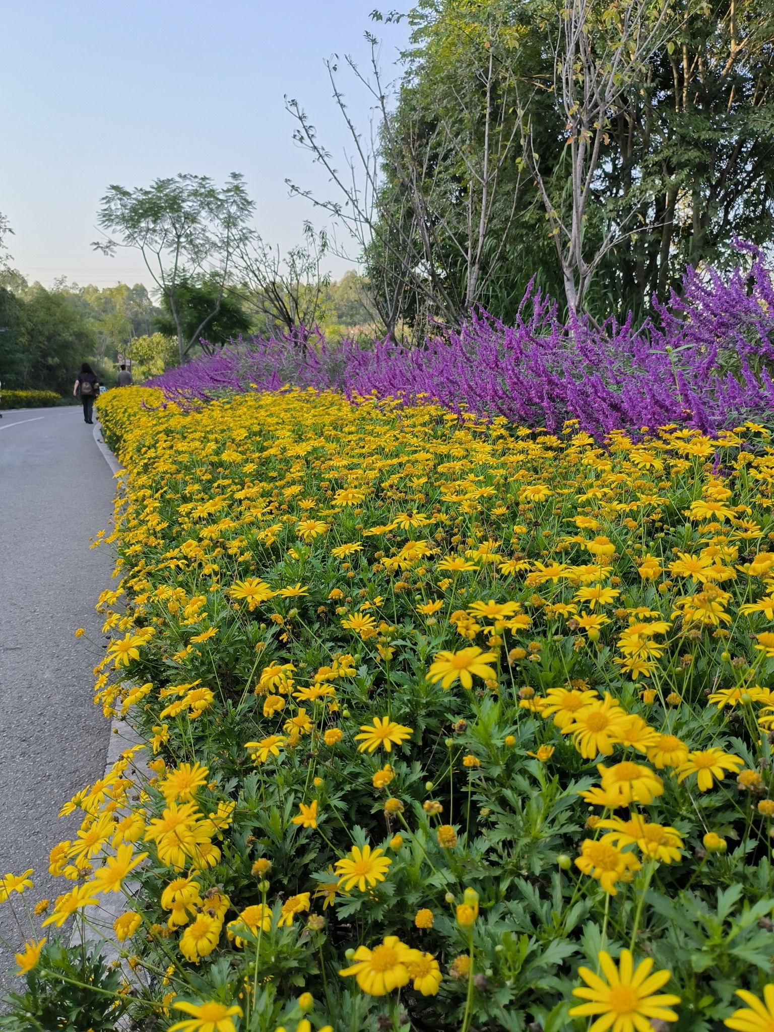 鹿溪河生态区旅行图片 2