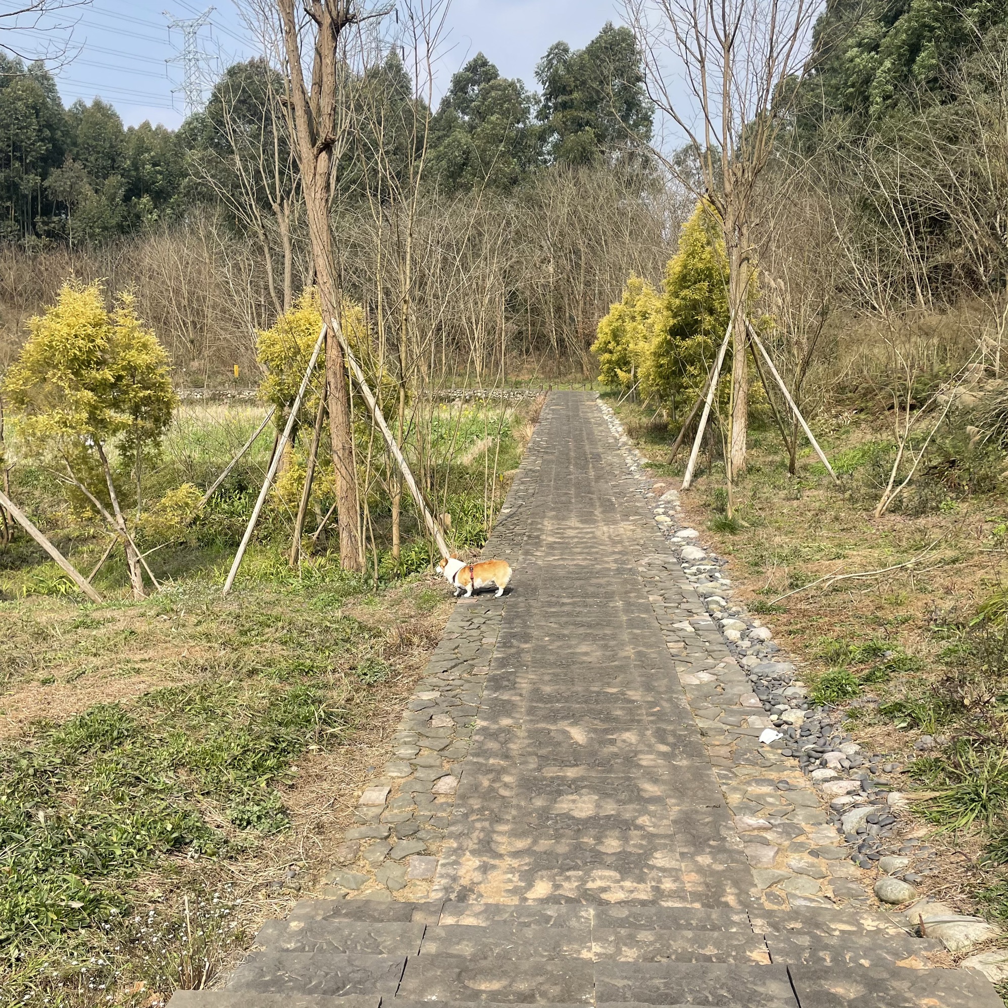 鹿溪河生态区旅行图片 3