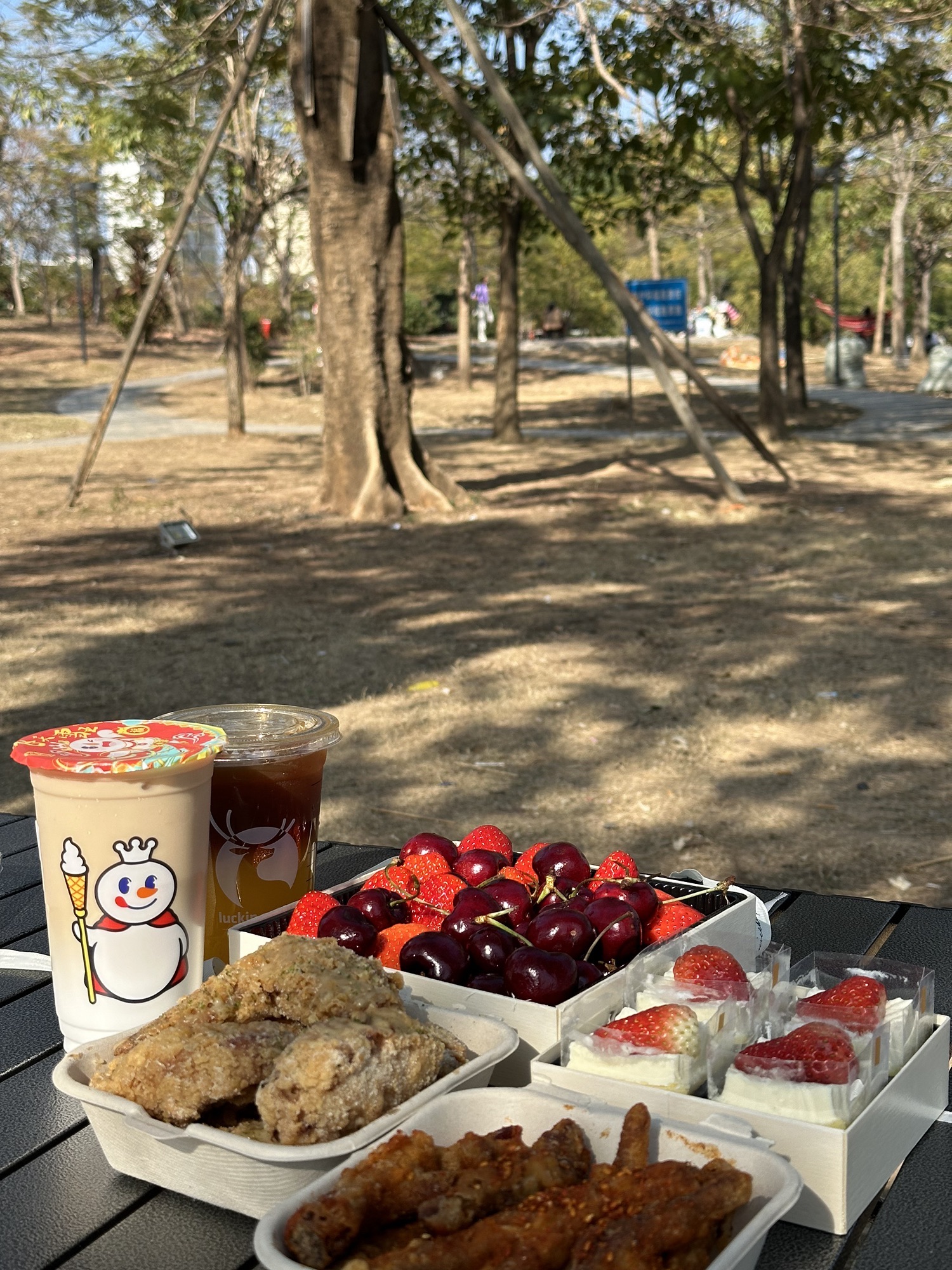 凤城公园旅行图片 1