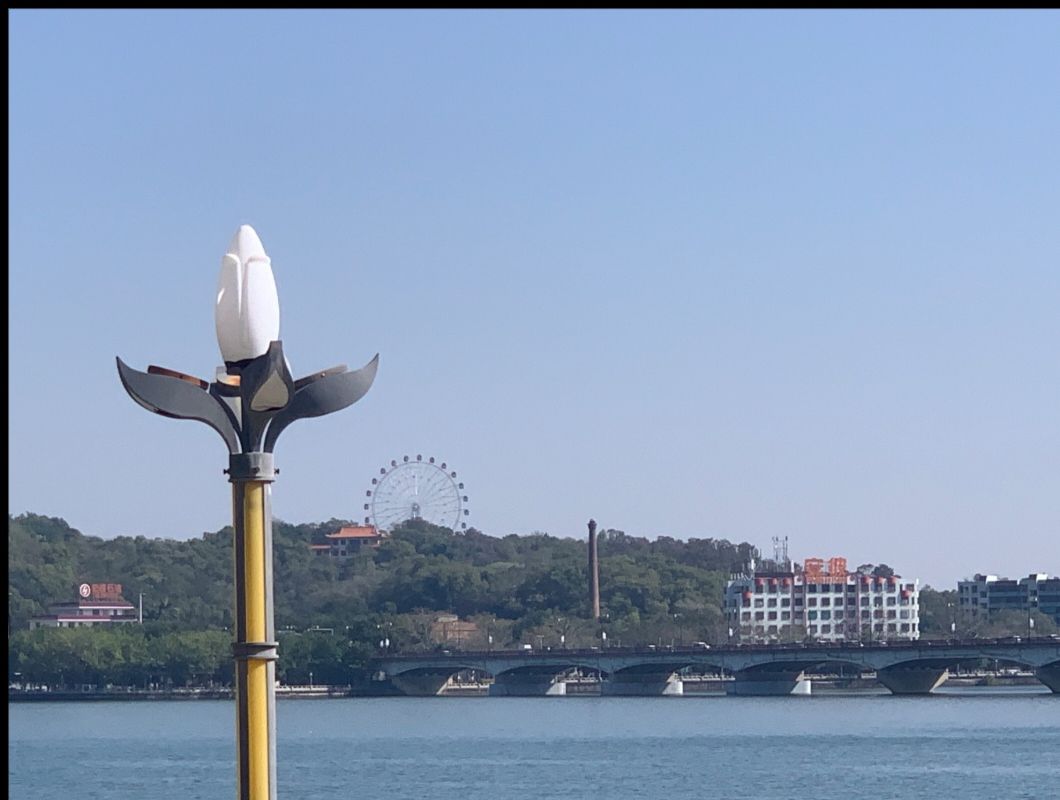 凤城公园旅行图片 3