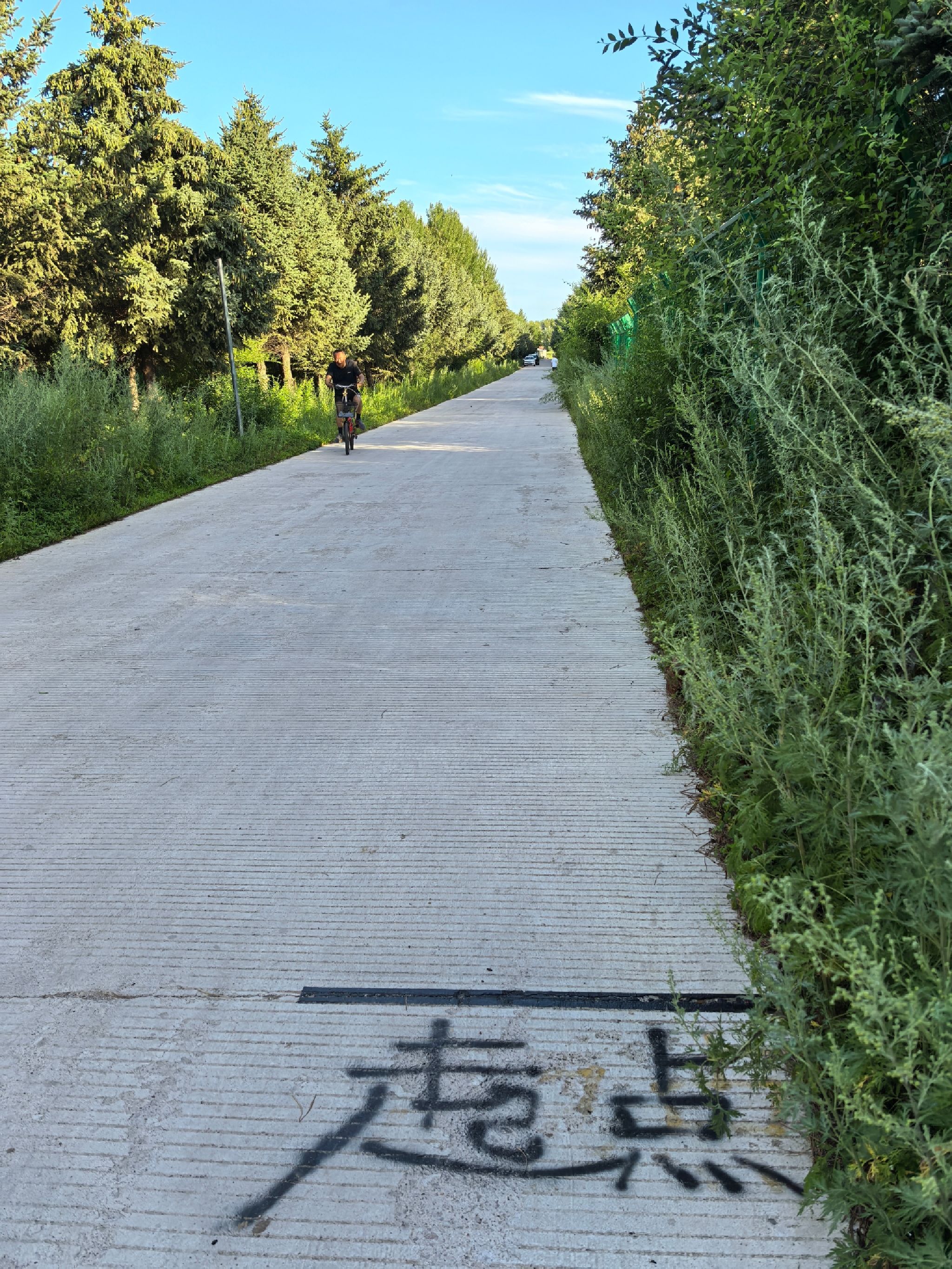 富裕县森林植物园旅行图片 2