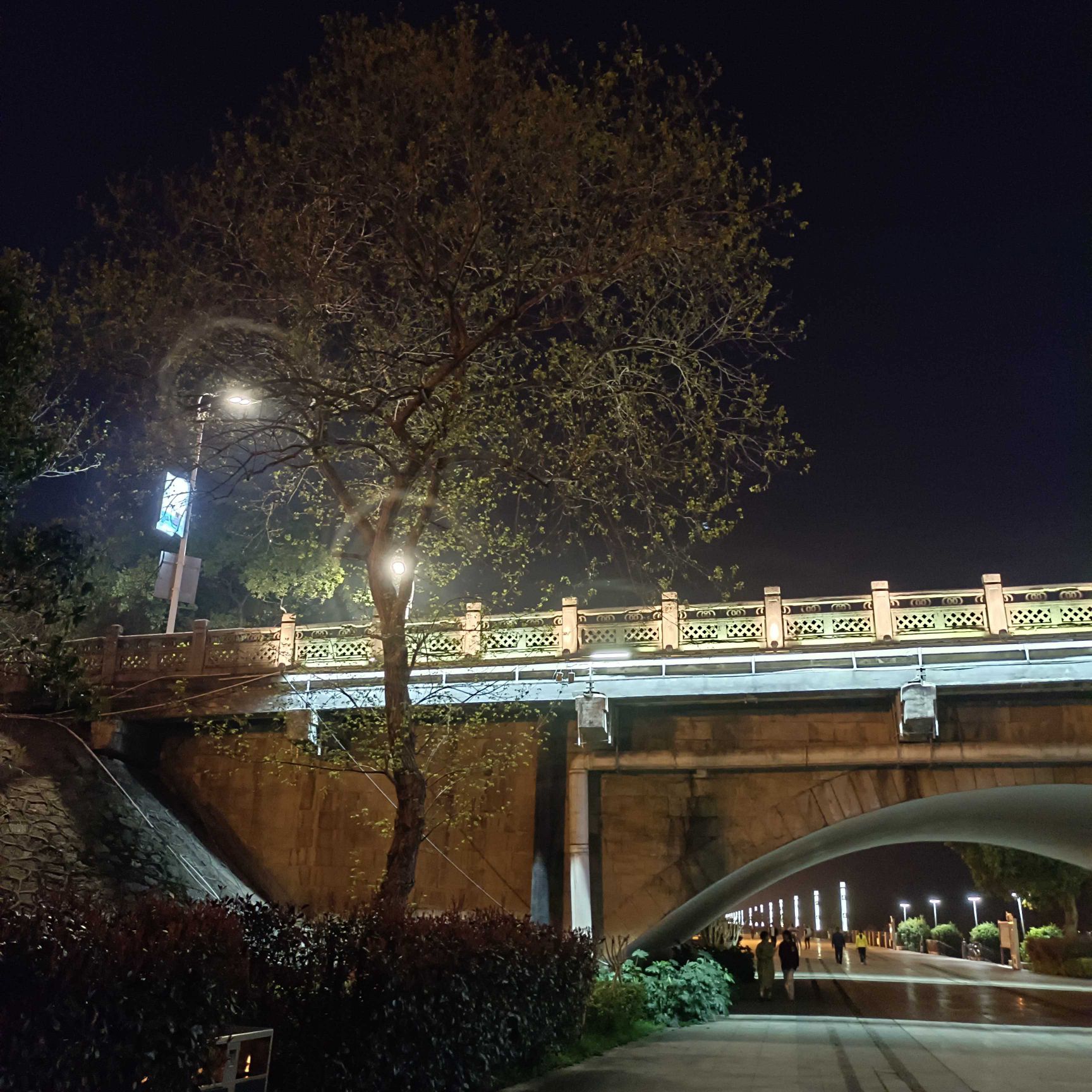湘江风光带旅行图片 2