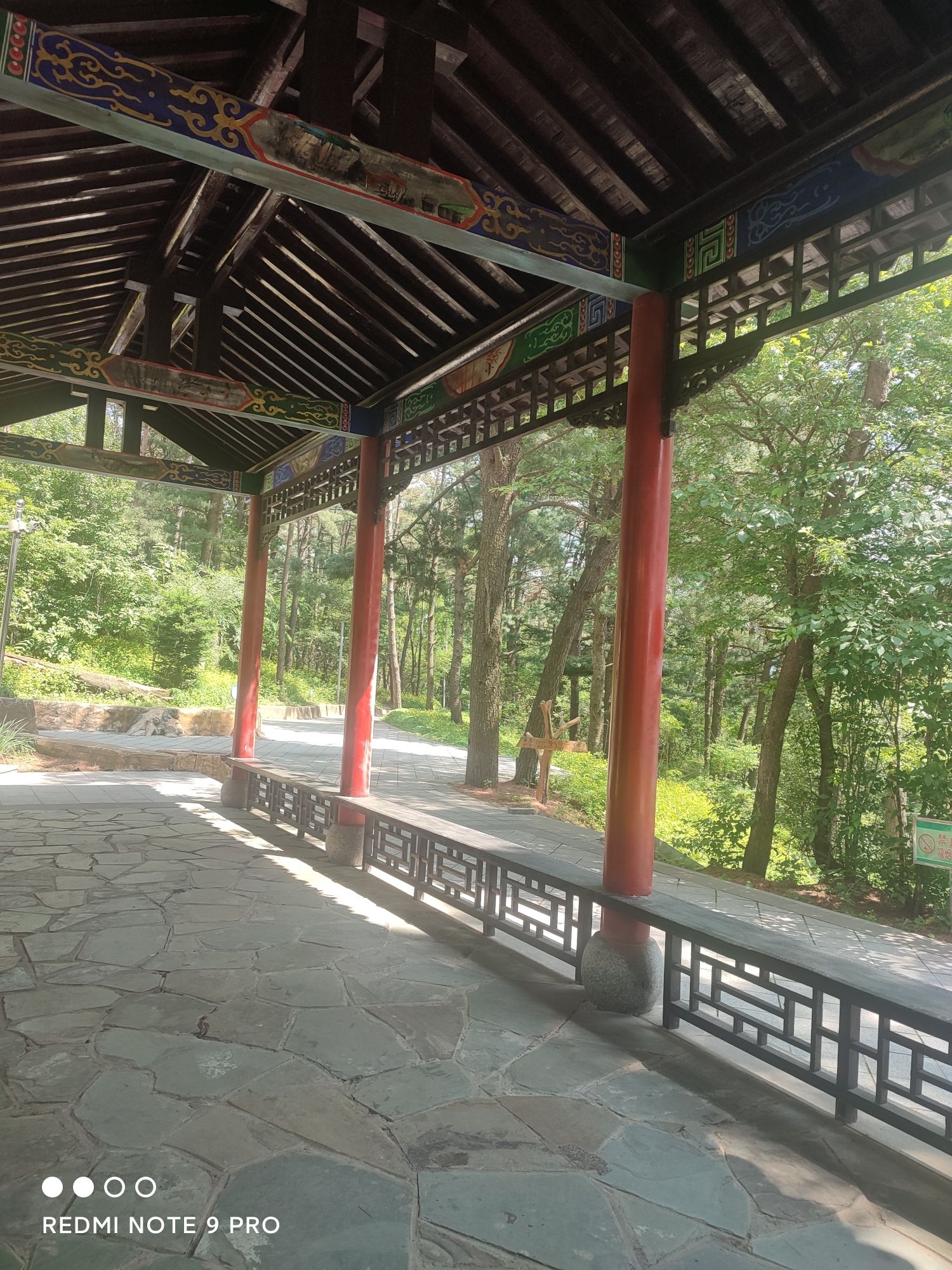 茂山公园旅行图片 3