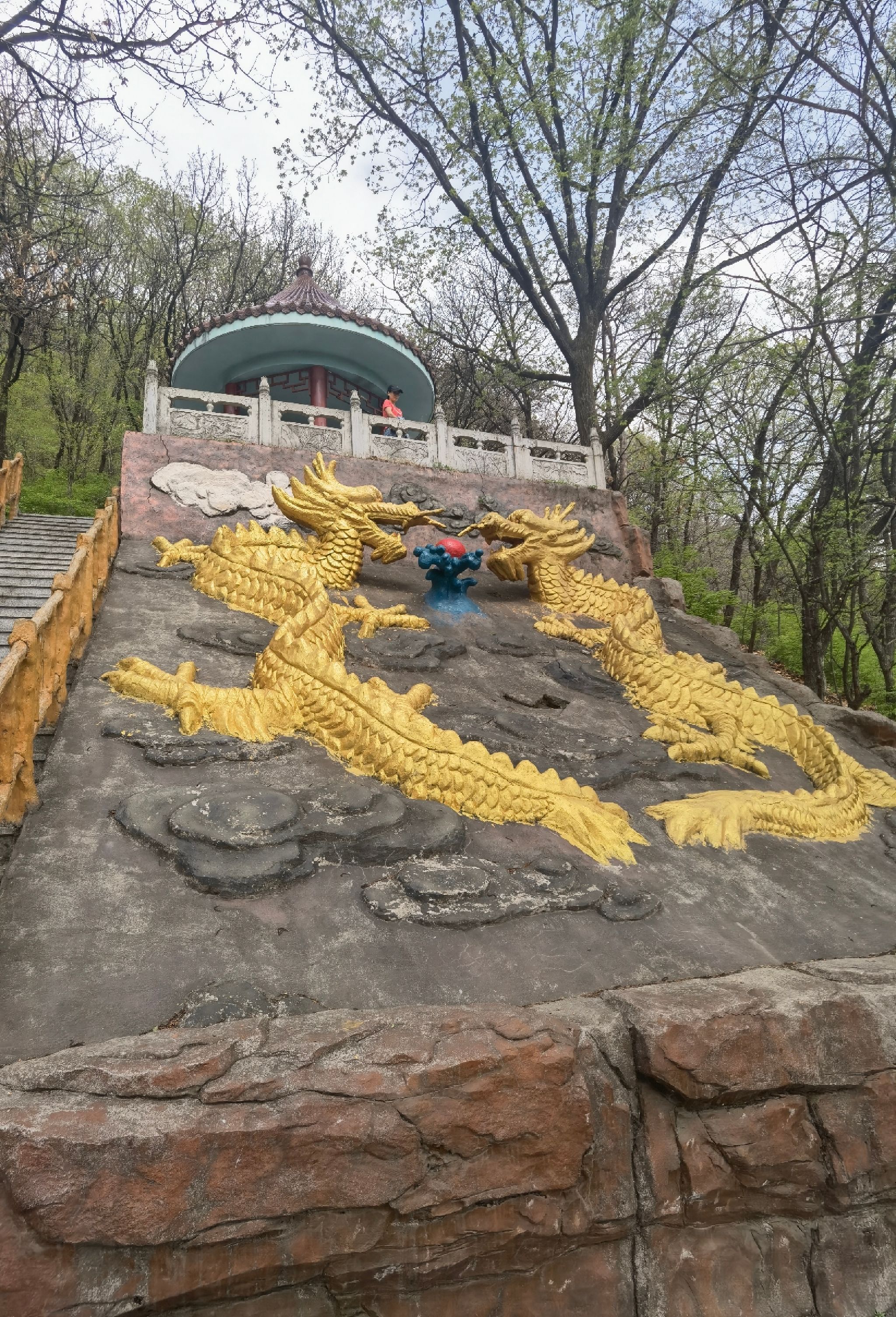 茂山公园旅行图片 2