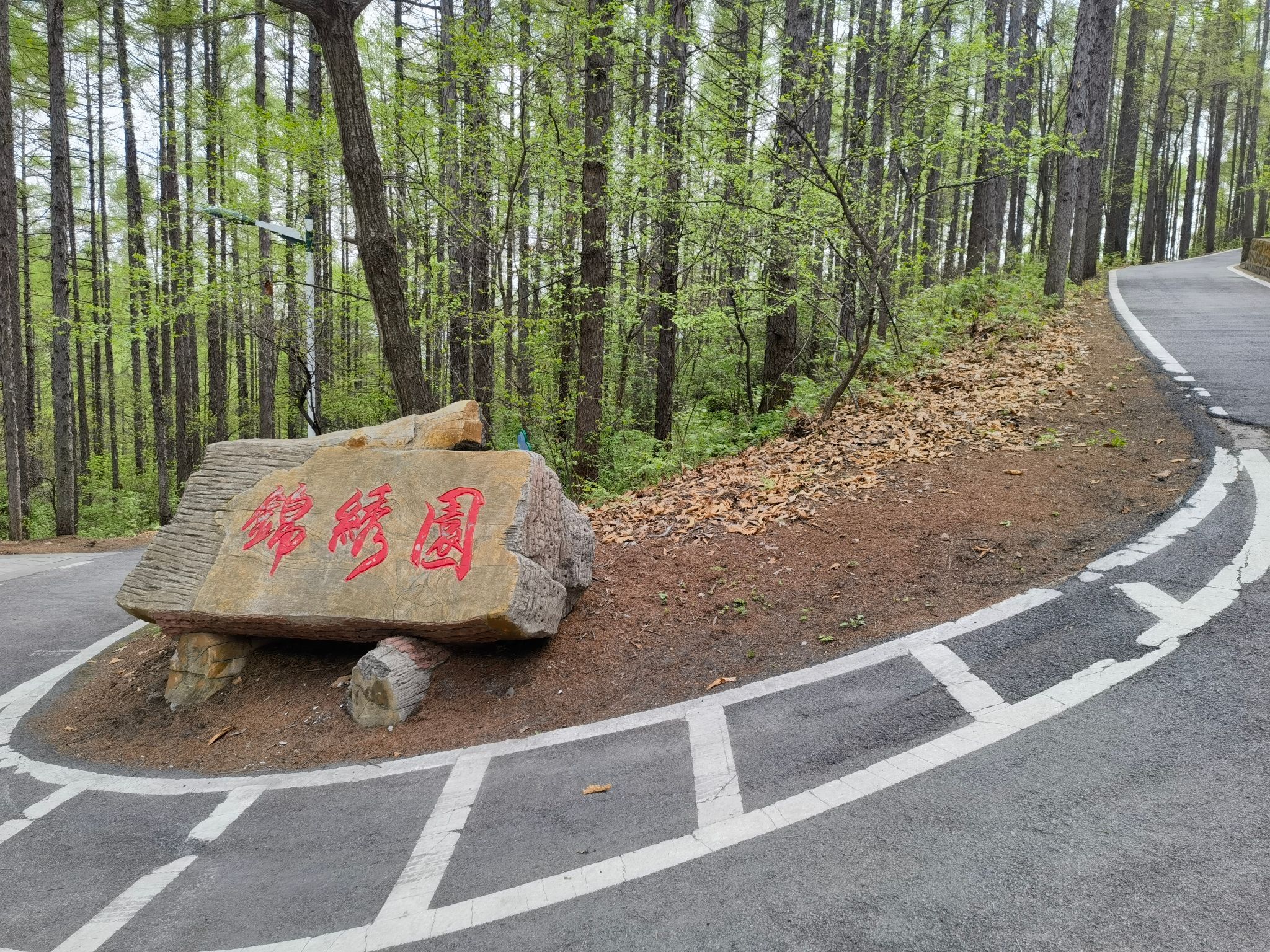 茂山公园旅行图片 1