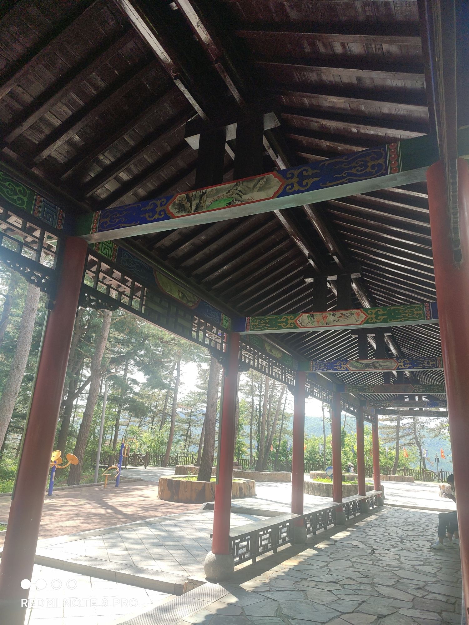 茂山公园旅行图片 1