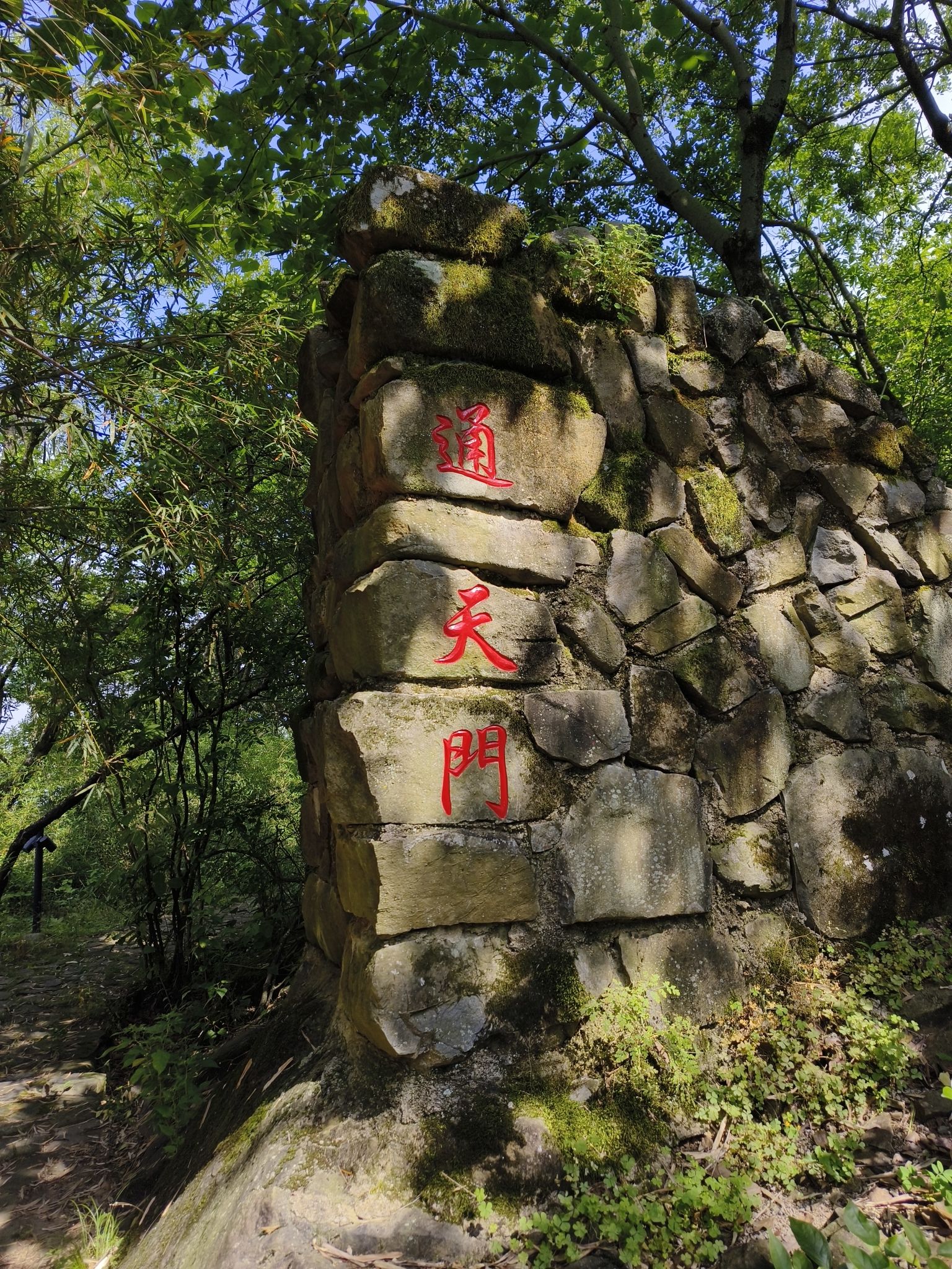 浙江省松阳卯山森林公园旅行图片 2