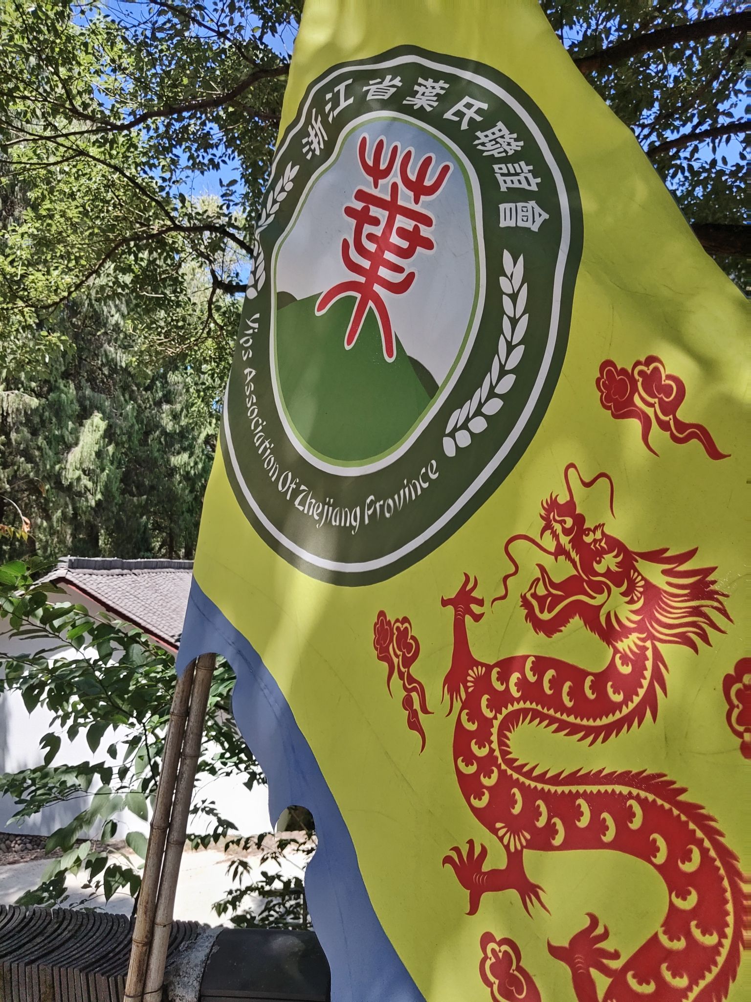浙江省松阳卯山森林公园旅行图片 3