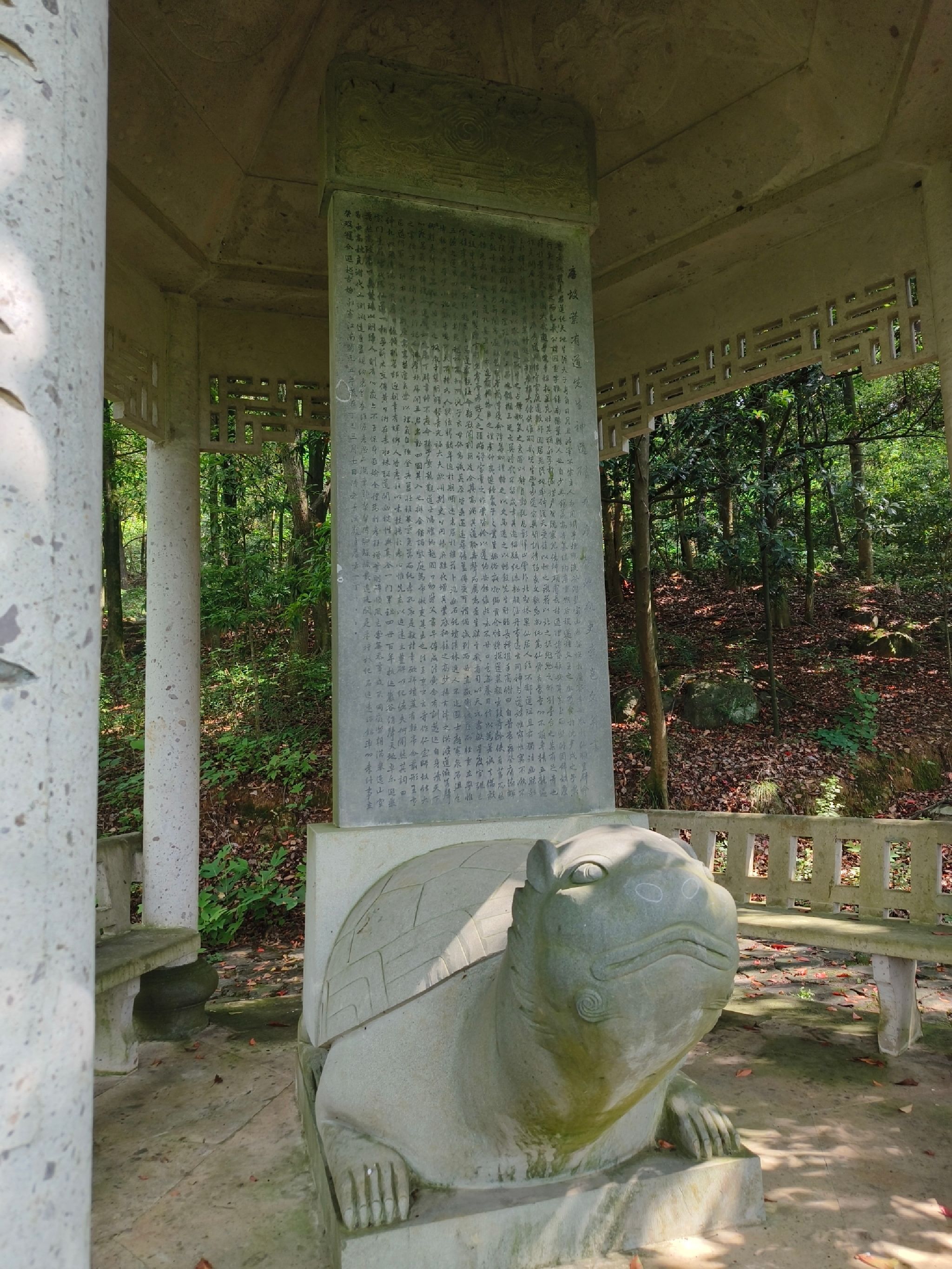 浙江省松阳卯山森林公园旅行图片 1