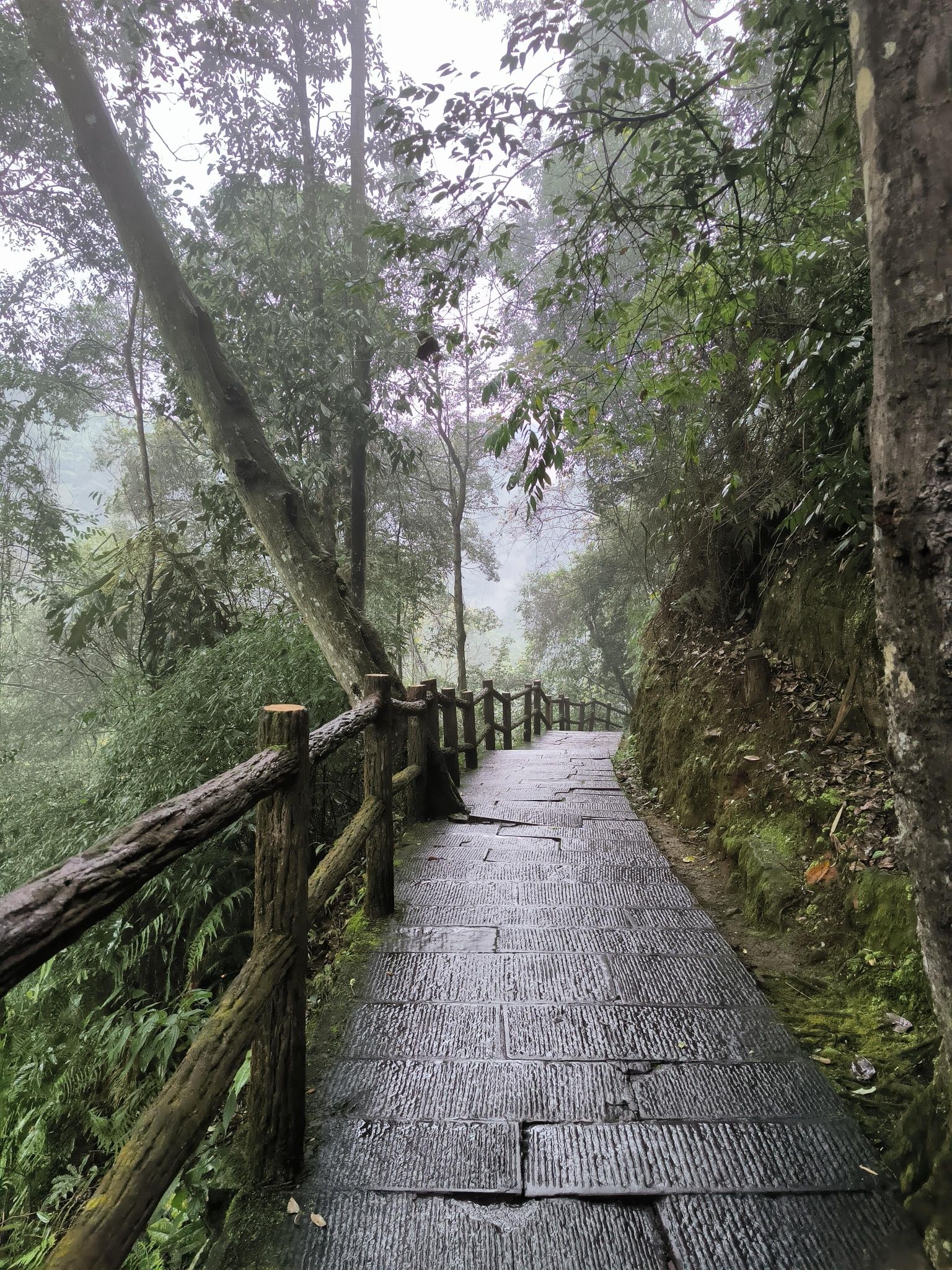 赤水丹霞旅游区旅行图片 1
