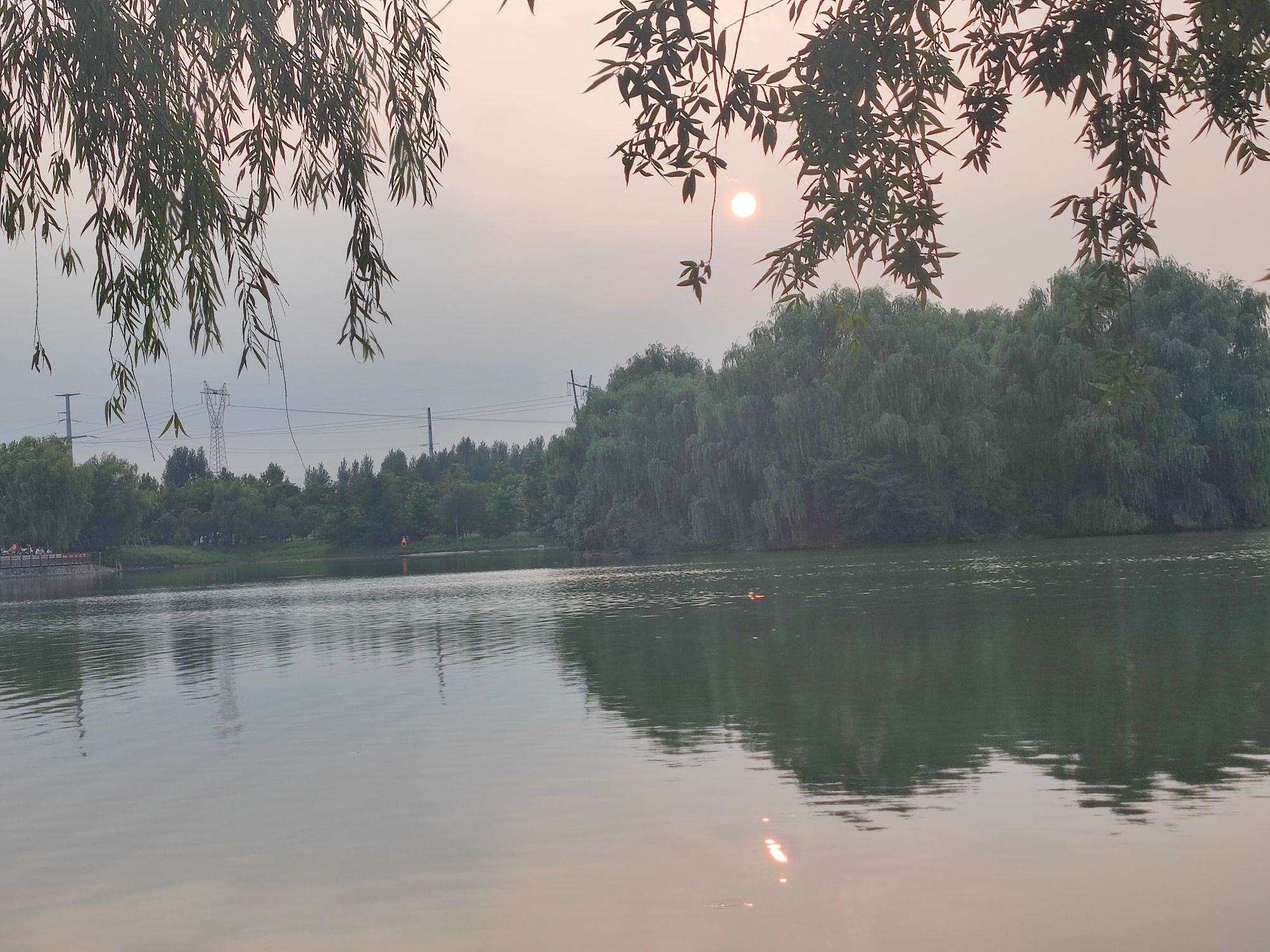 白鹭湿地公园旅行图片 1