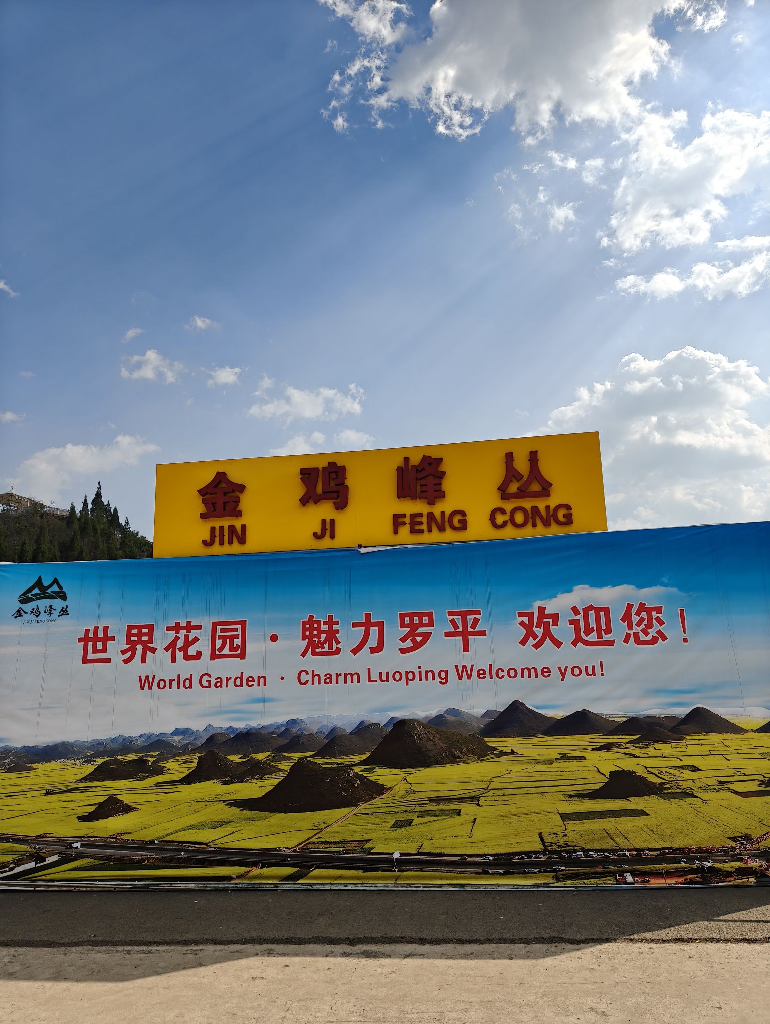 曲靖罗平油菜花 景点照片