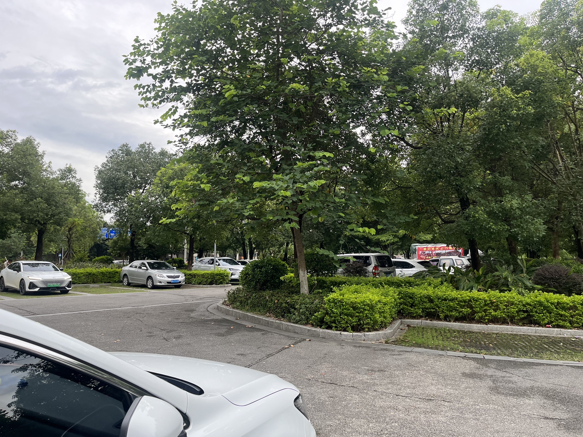 三江口公园旅行图片 3