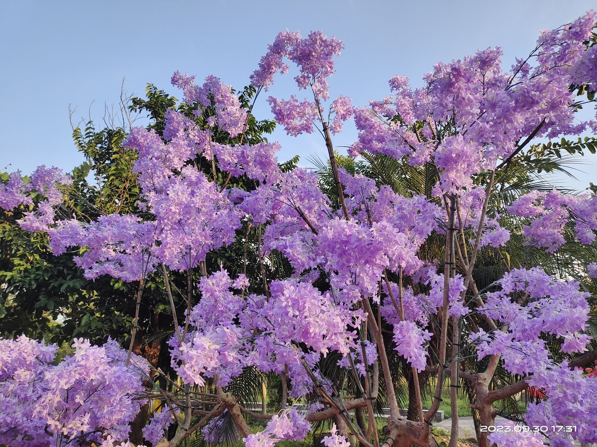 梧村风景区旅行图片 2