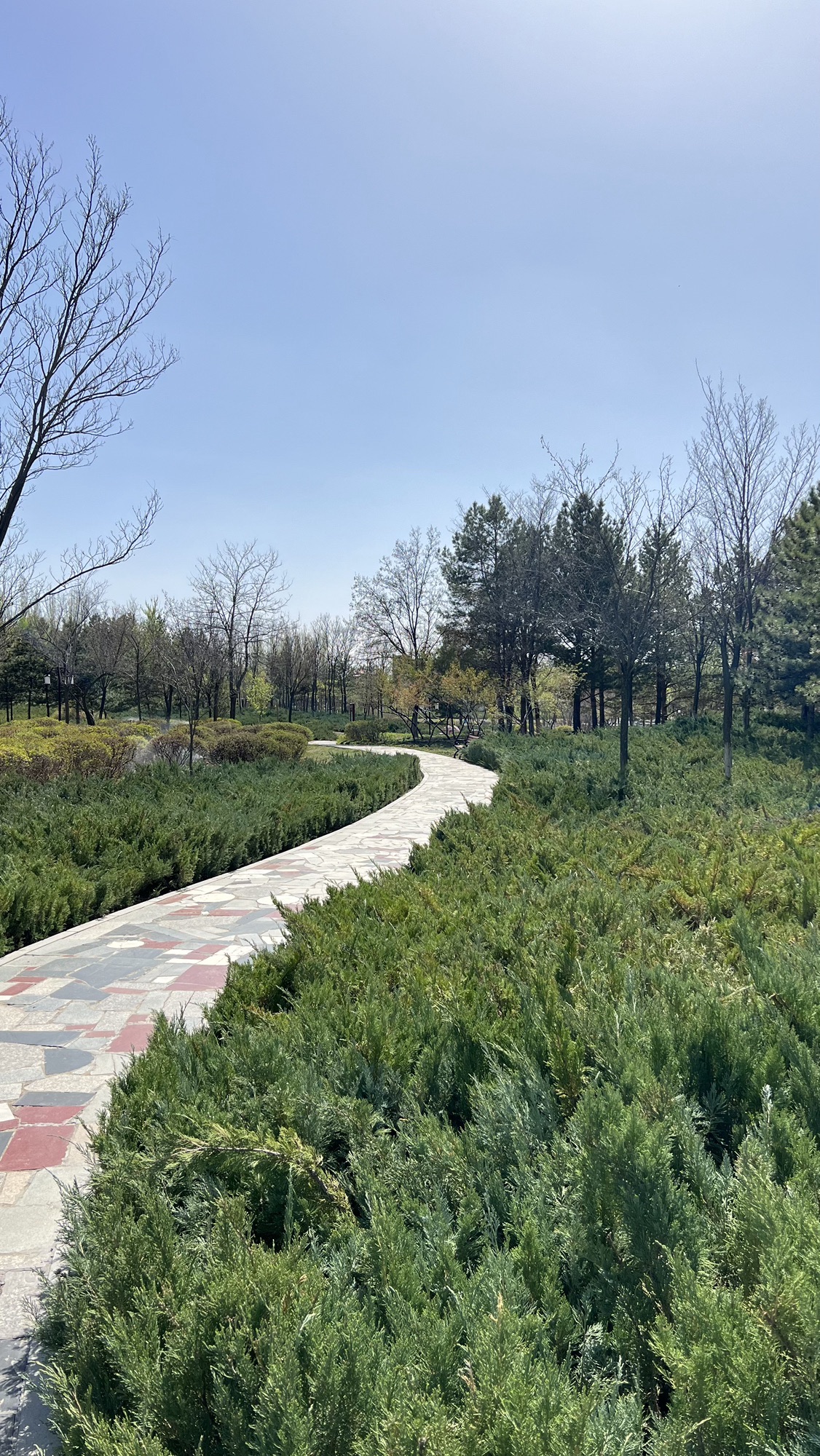 鸿沁湖公园旅行图片 3