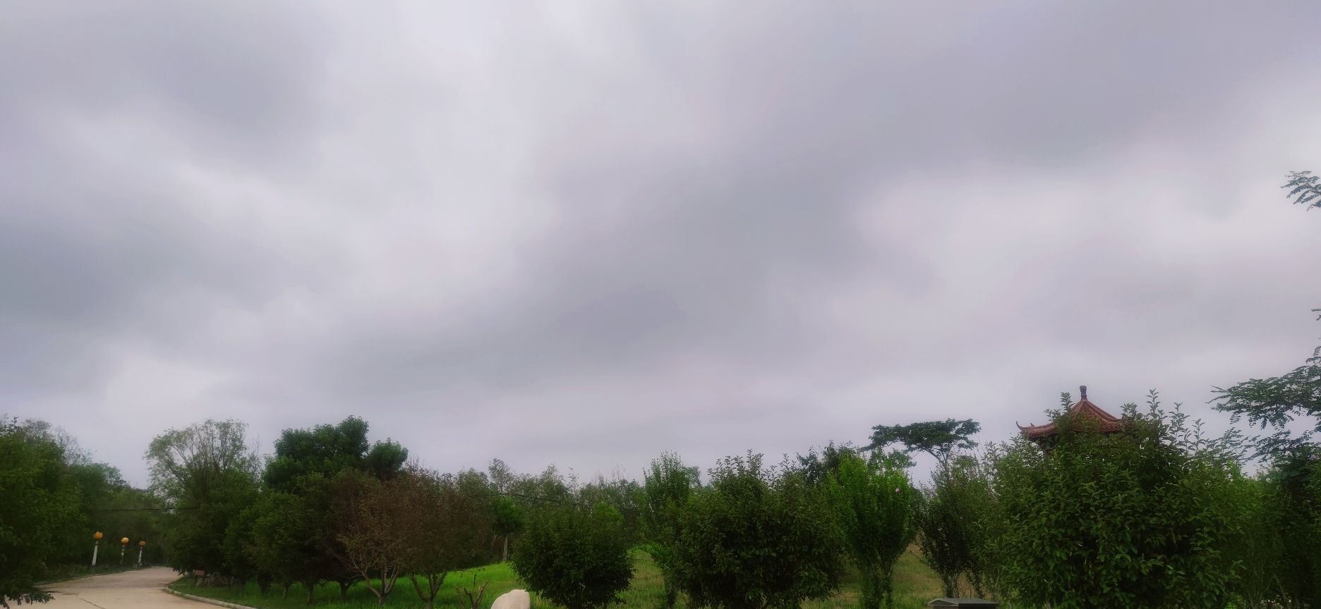 油区植物园旅行图片 2