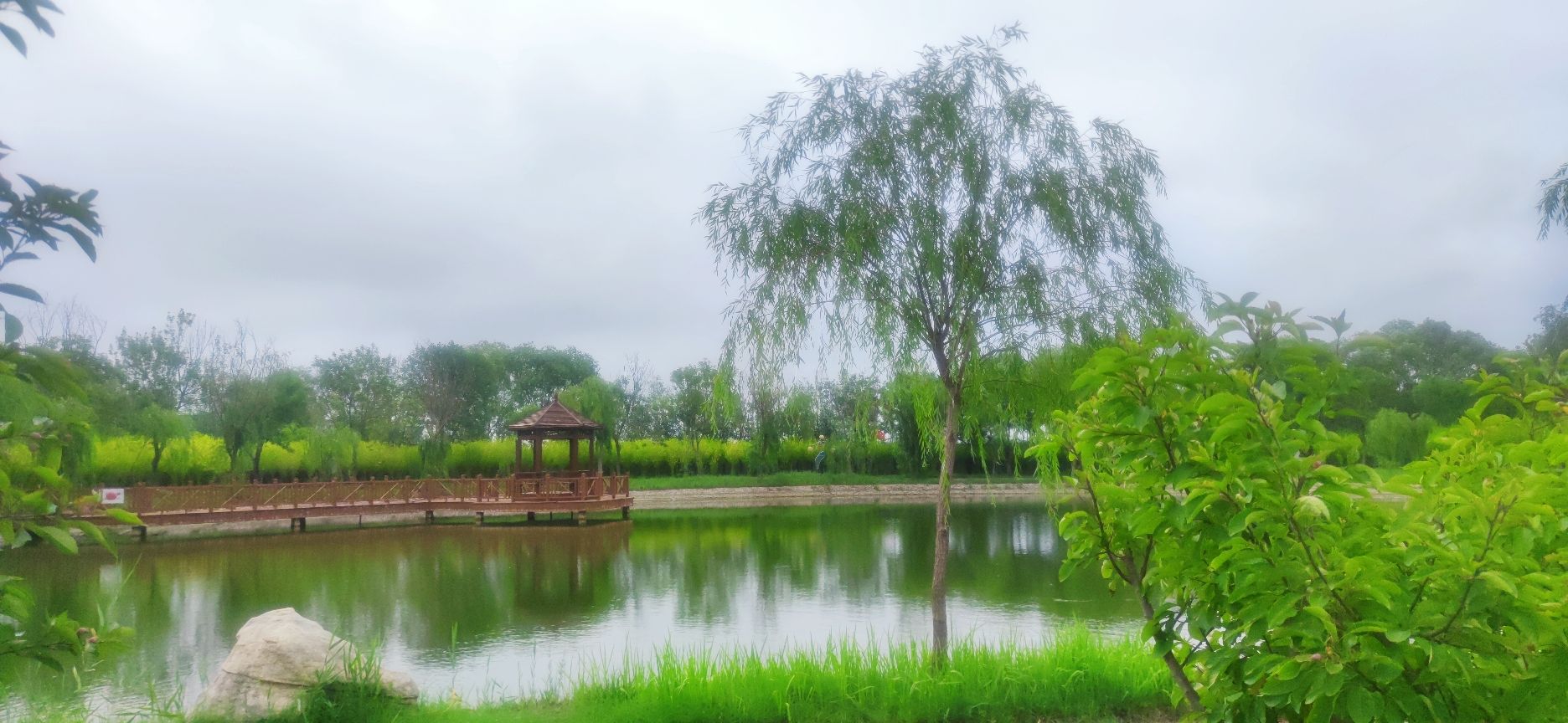 油区植物园旅行图片 3